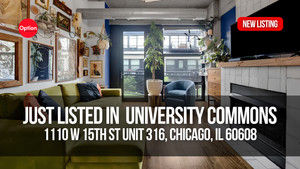 Move-In Ready University Commons Loft Under $300K: 1110 W 15th St Unit 316, Chicago, IL 60608