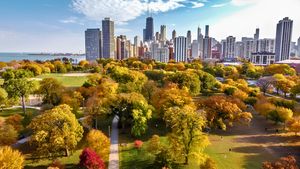 Fall Is Here, and It Could Be the Housing Market’s Sweet Season for Chicago Buyers