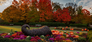 Things to Do in Chicago and DuPage This Weekend: September 25–27, 2026