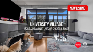 What $330K Buys in University Village Chicago: 2-Bedroom Loft With Skyline Views