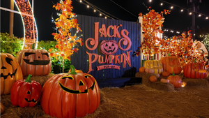10 Best Things to Do in Chicago and DuPage This Weekend: October 30-November 1, 2026