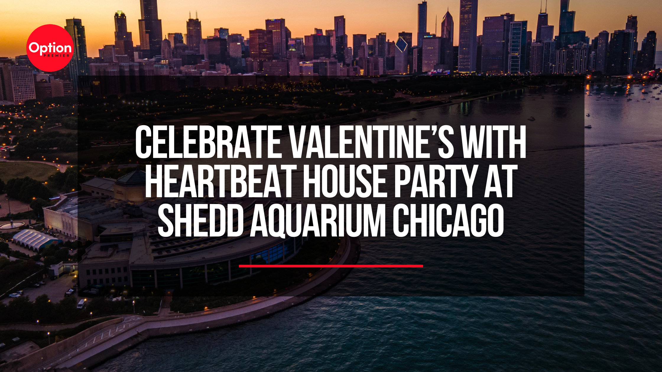 Celebrate Valentine’s with Heartbeat House Party at Shedd Aquarium Chicago