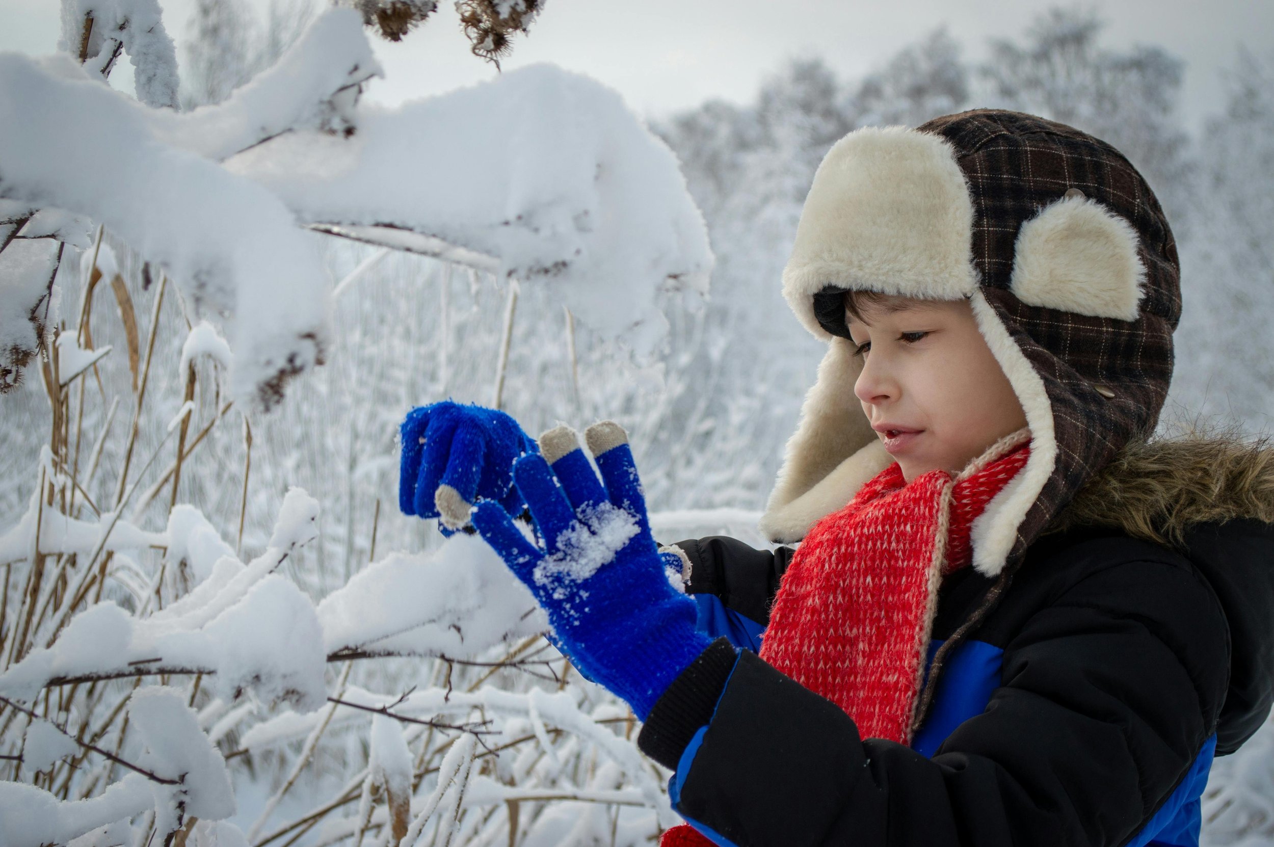 Kid Wearing Winter Jacket Holding Snow, DuPage, Chicago