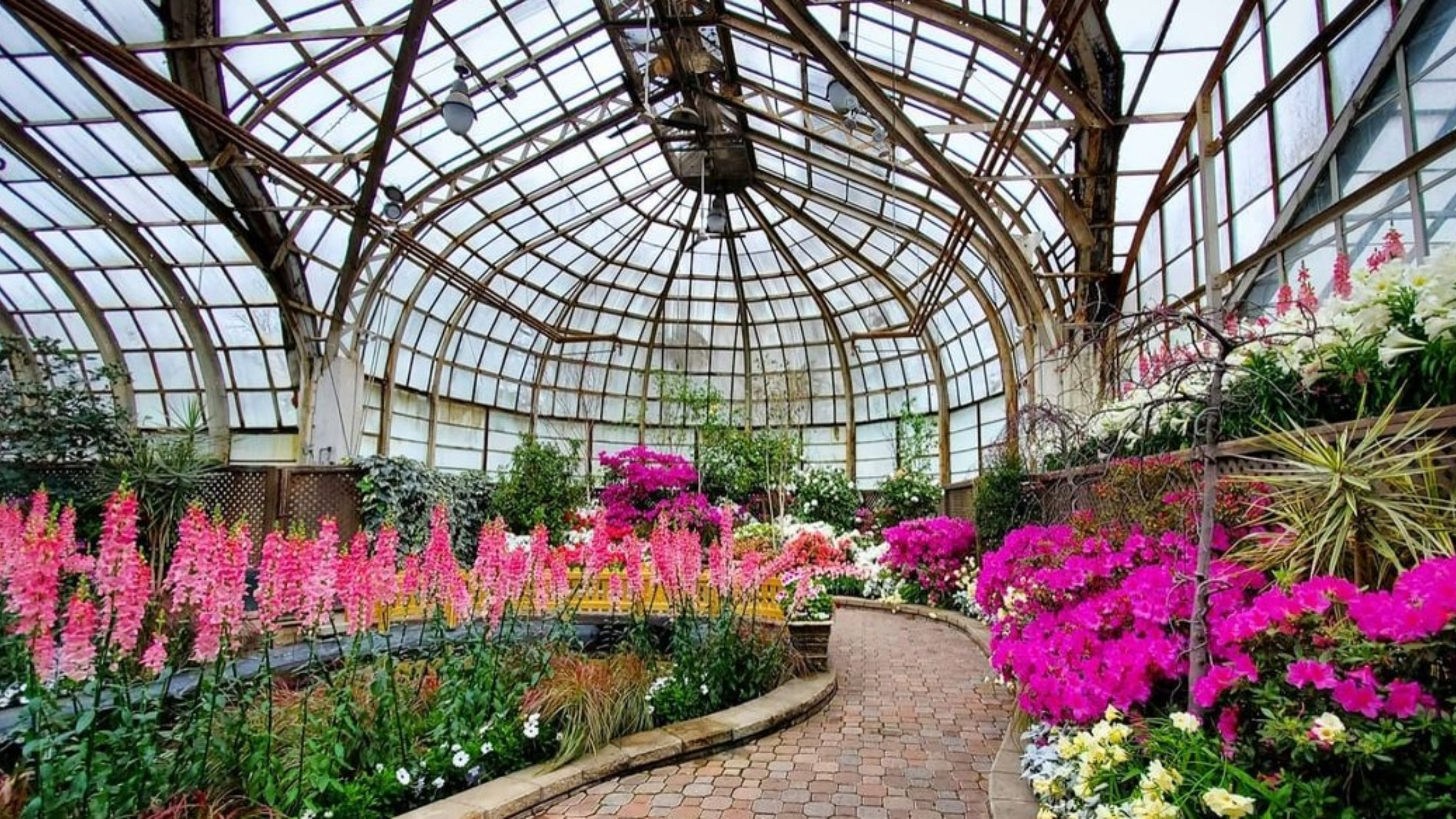 Lincoln Park Conservatory