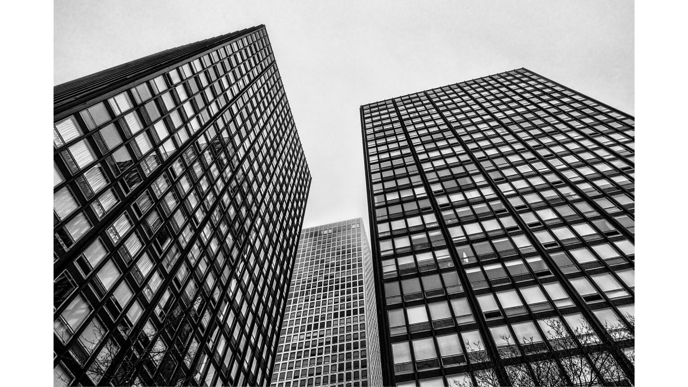 Mies van der Rohe and the Rise of Modernism
