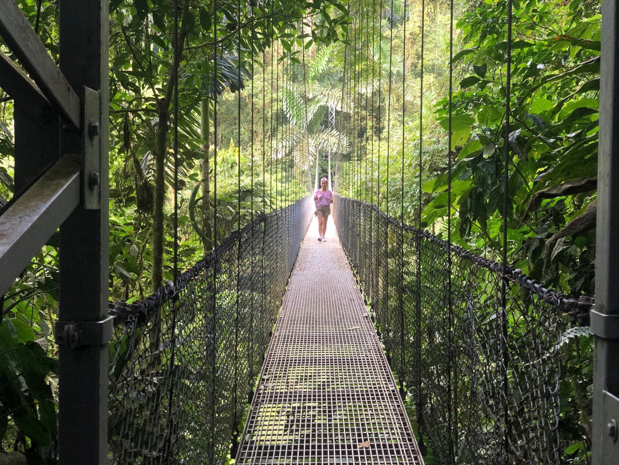 hanging bridge.jpeg