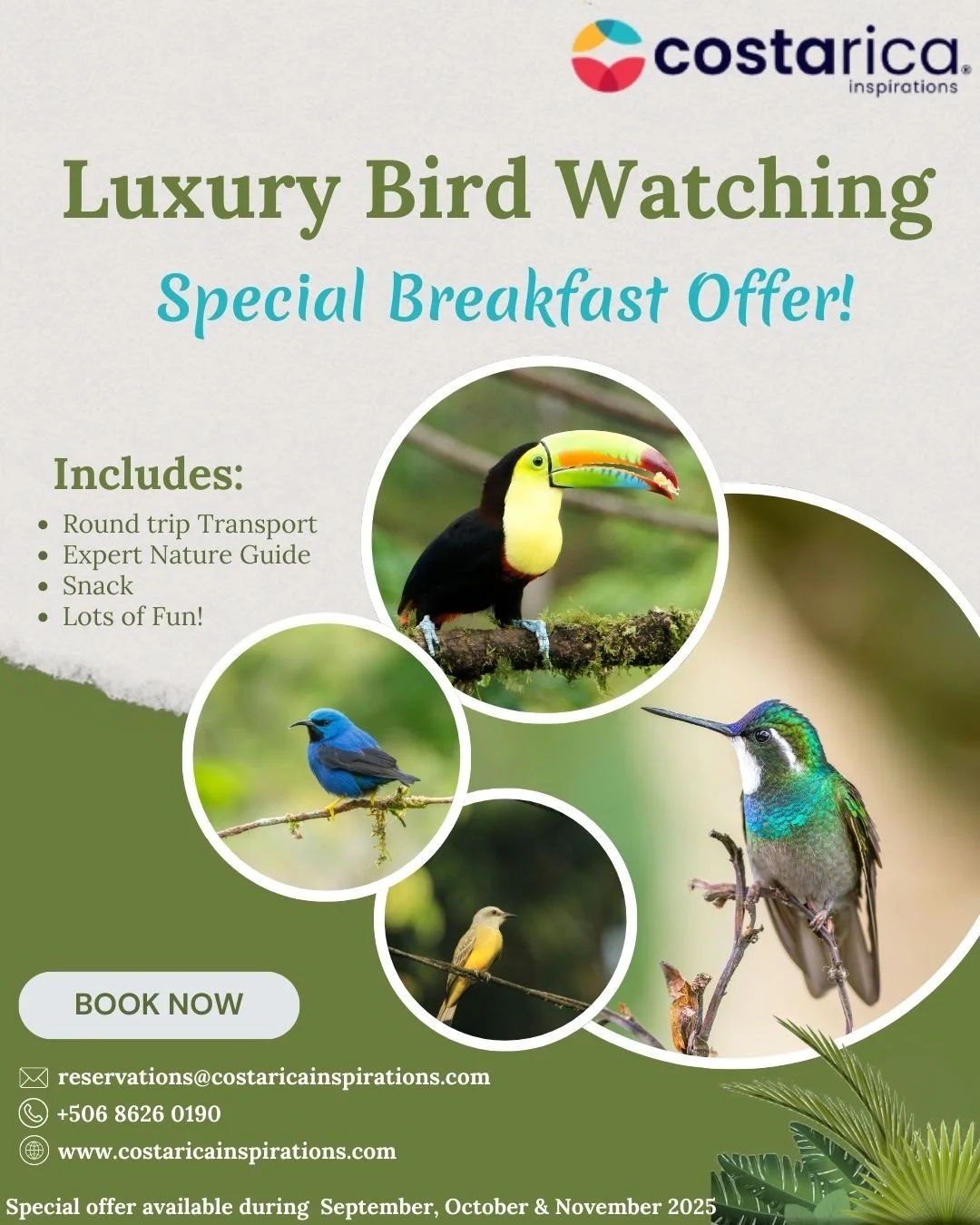 ✨ Wake up to the sound of nature and enjoy the magic of Luxury Bird Watching in Costa Rica ✨
Discover exotic colors, melodies, and unique species in a tour designed for true nature lovers 🦜💚

🌺 Includes: roundtrip transport, professional guide,  a