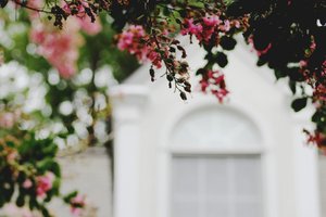 What to Expect When Selling Your Home in Spring: A Seller's Timeline