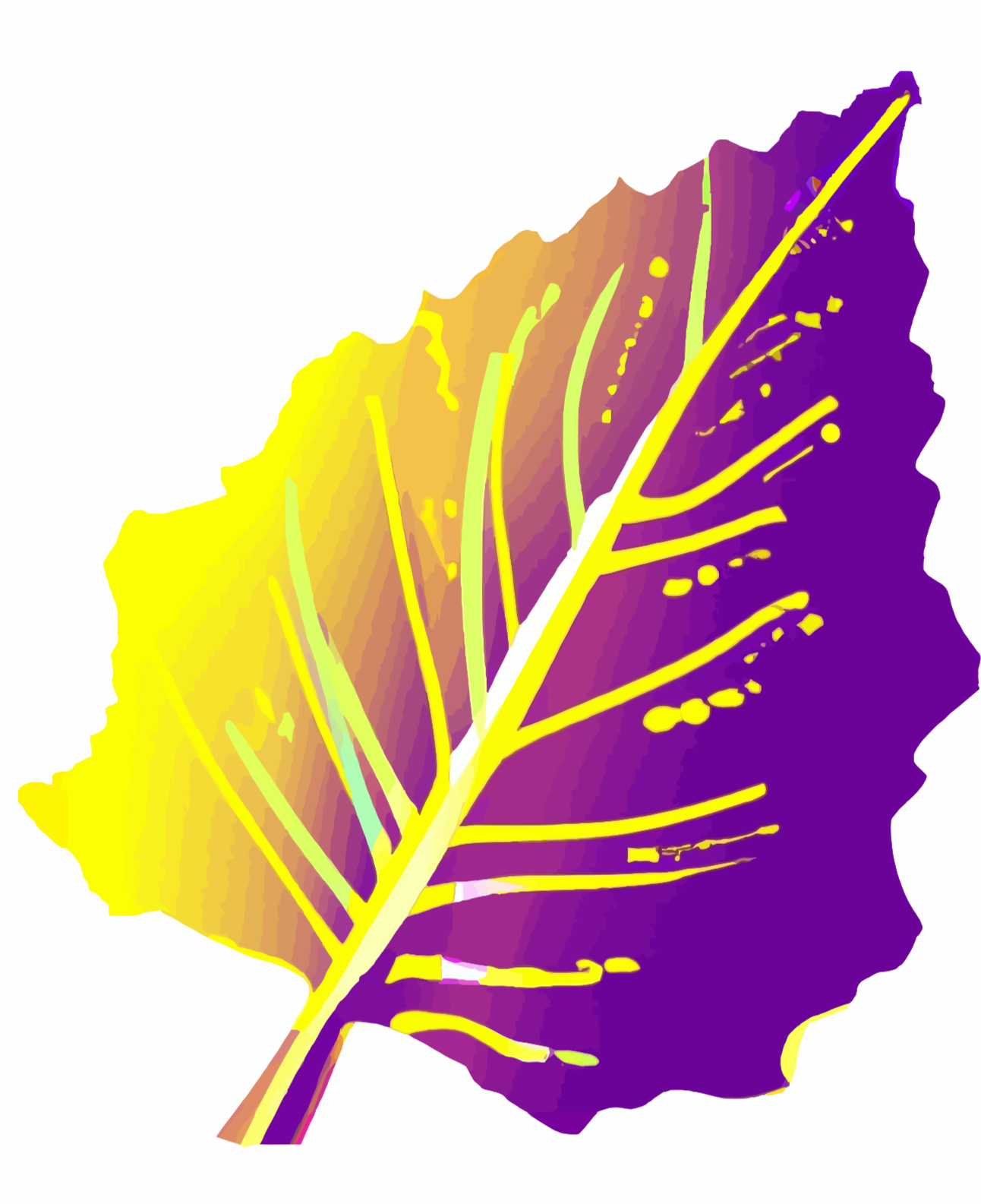 Aspenova Consulting