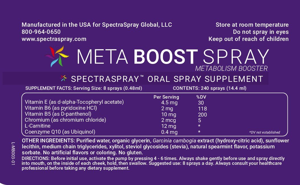 METABOOST_L-MB003-01.jpg
