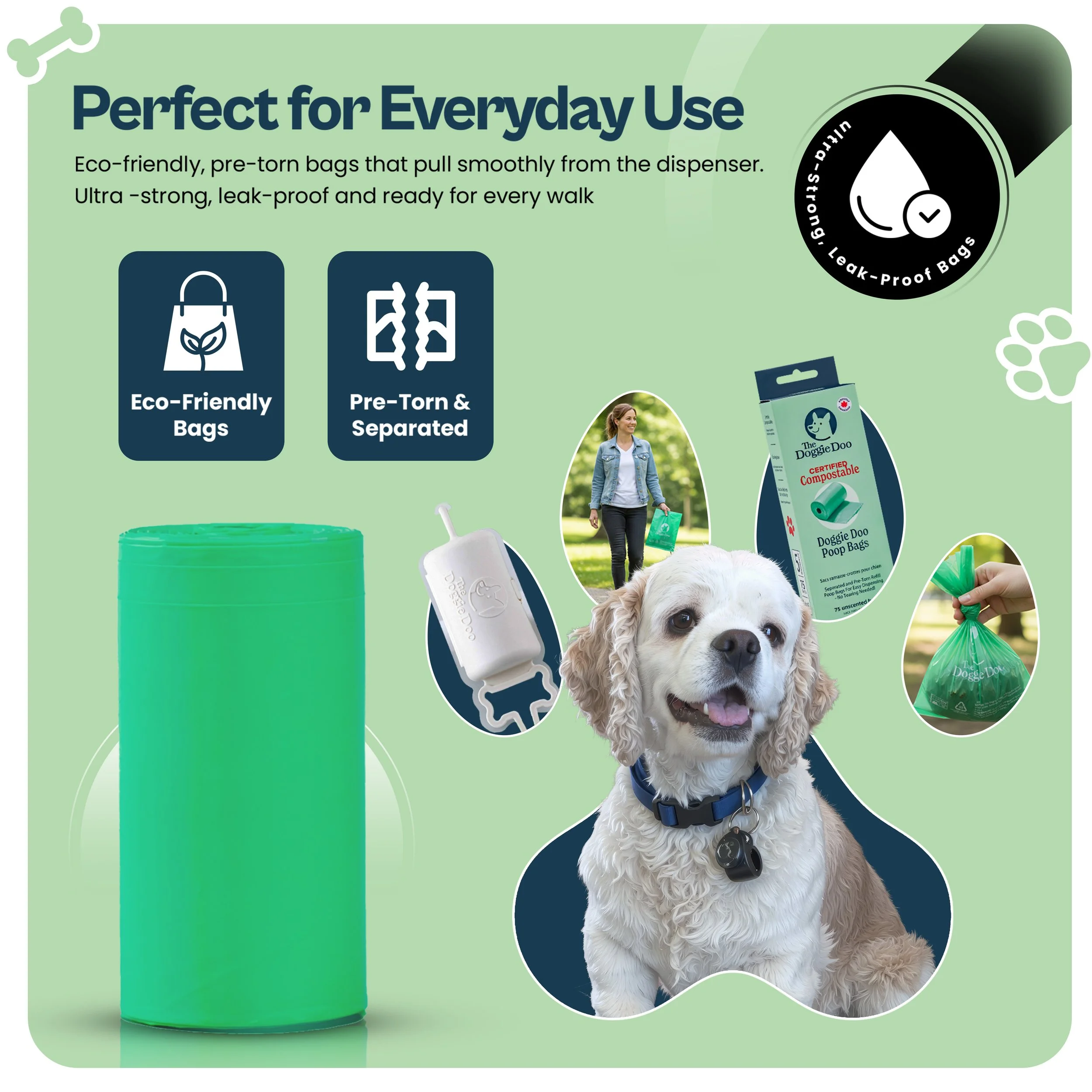 Artboard 7_2x (1).jpg