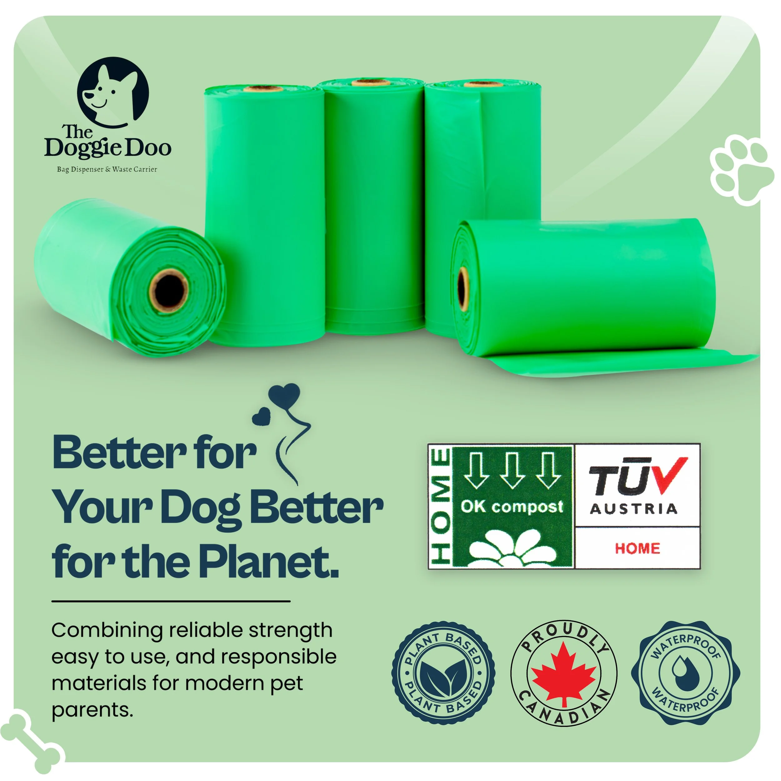 Artboard 6_2x (1).jpg