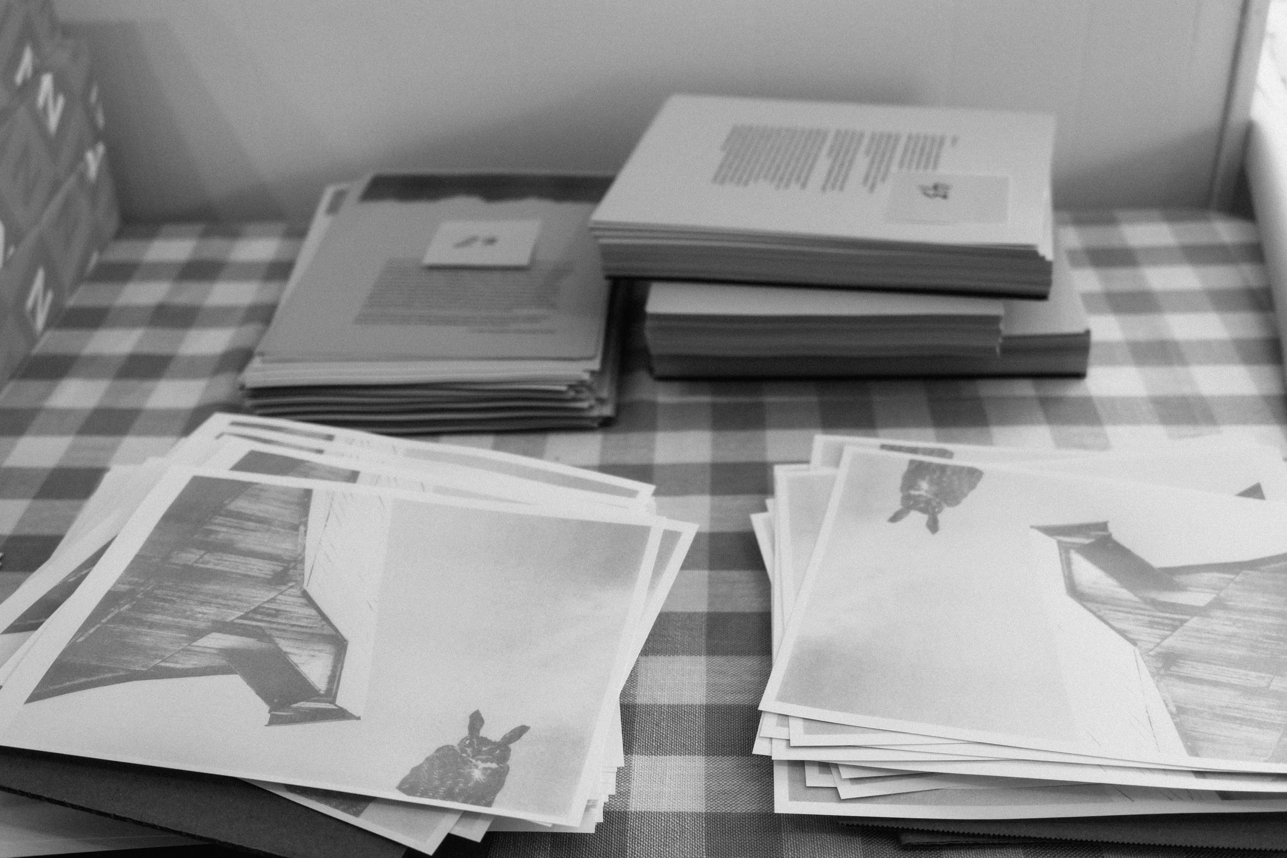 Pages from a handmade photography book published as part of In the County.