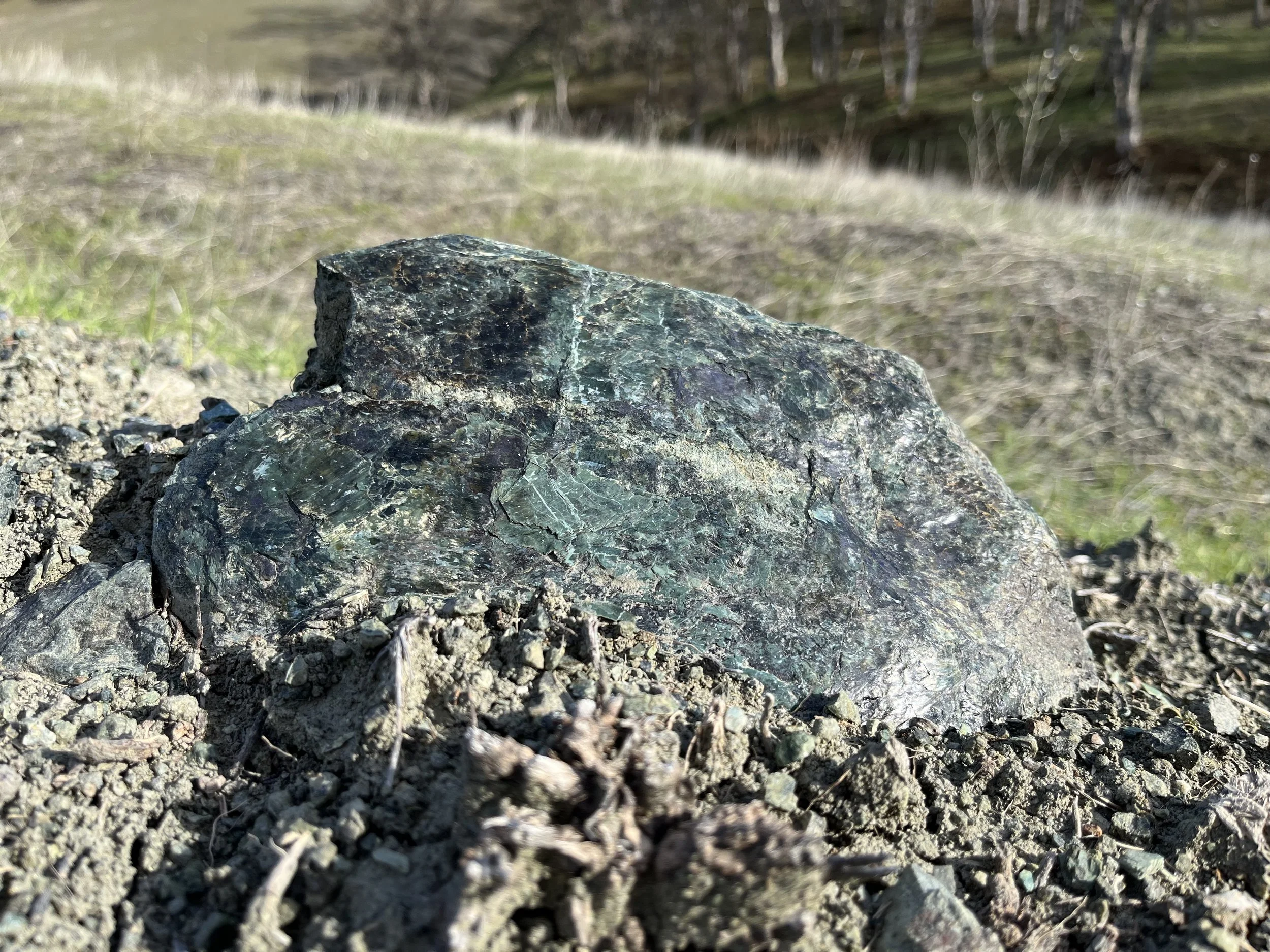 Serpentinite rock on the Berryessa Snow Mountain National Monument.