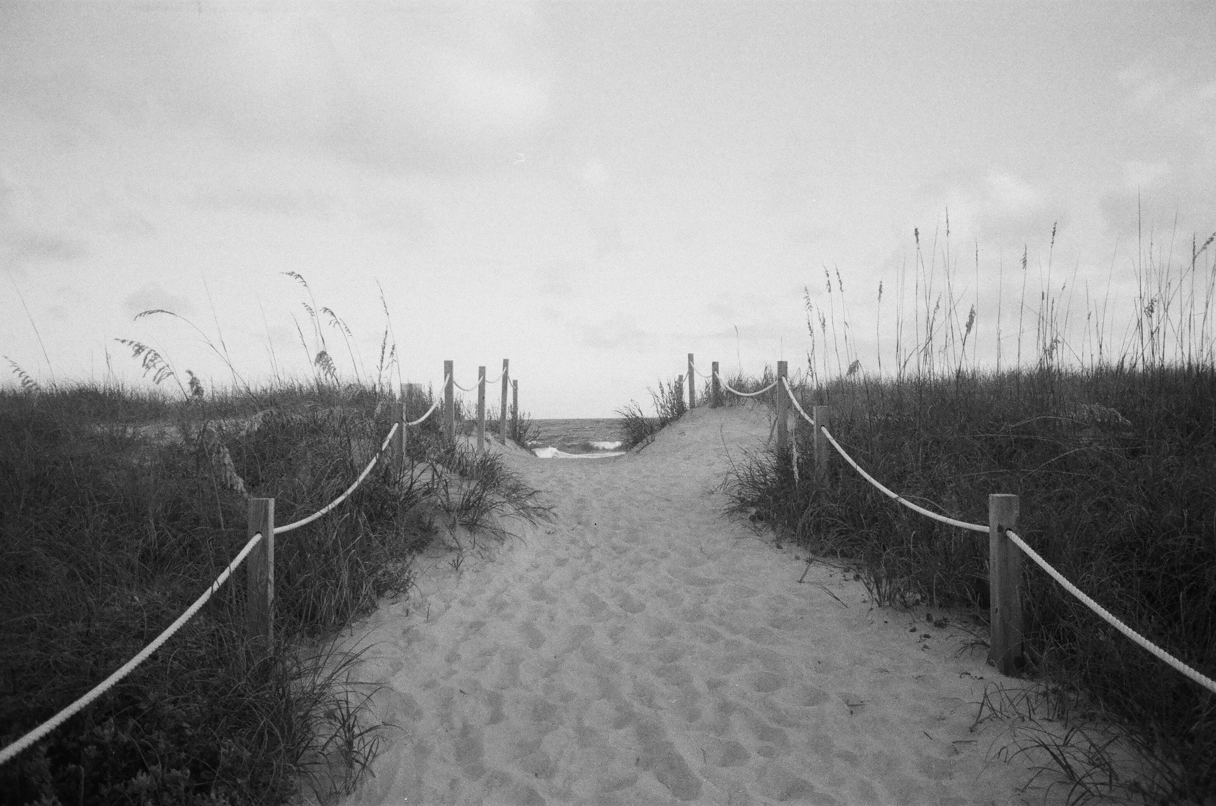 Public Access