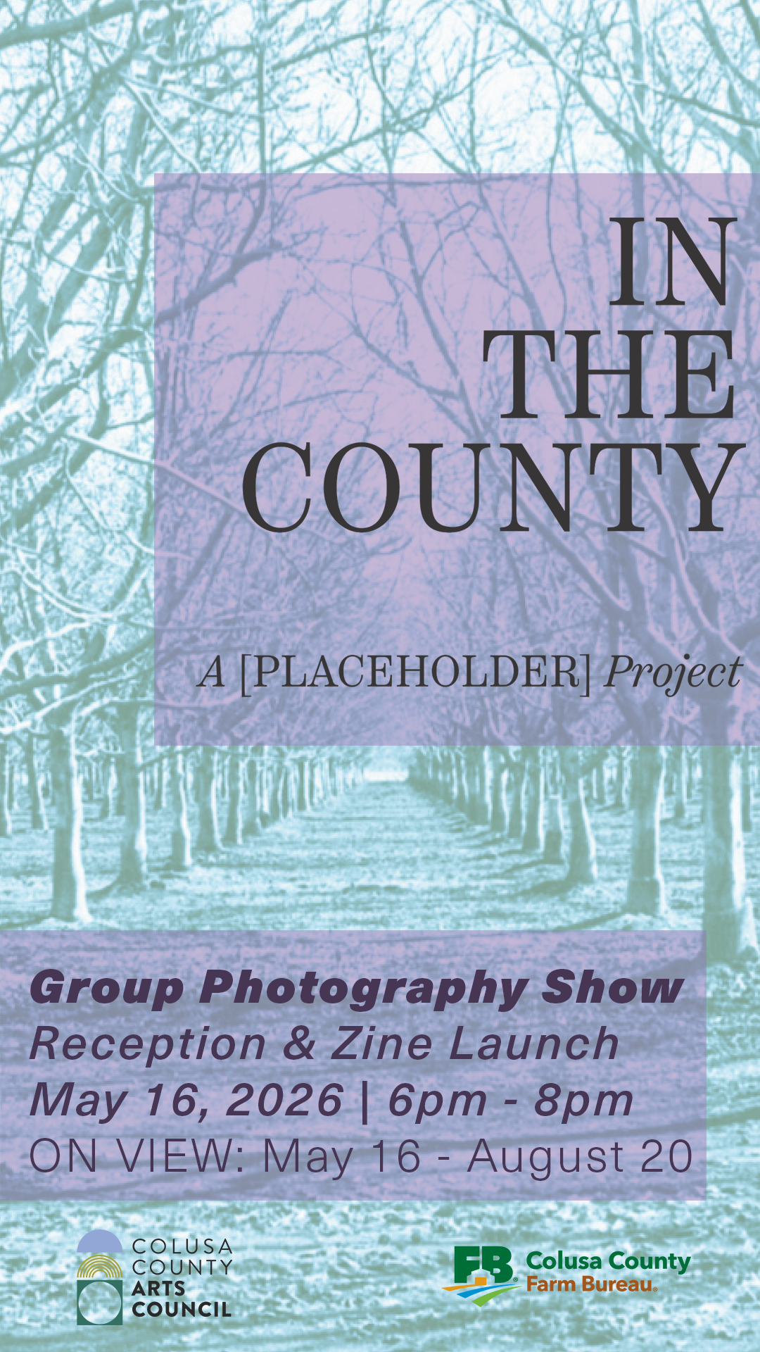 Colorful duo-toned marketing image advertising In the County's opening reception in May 2016