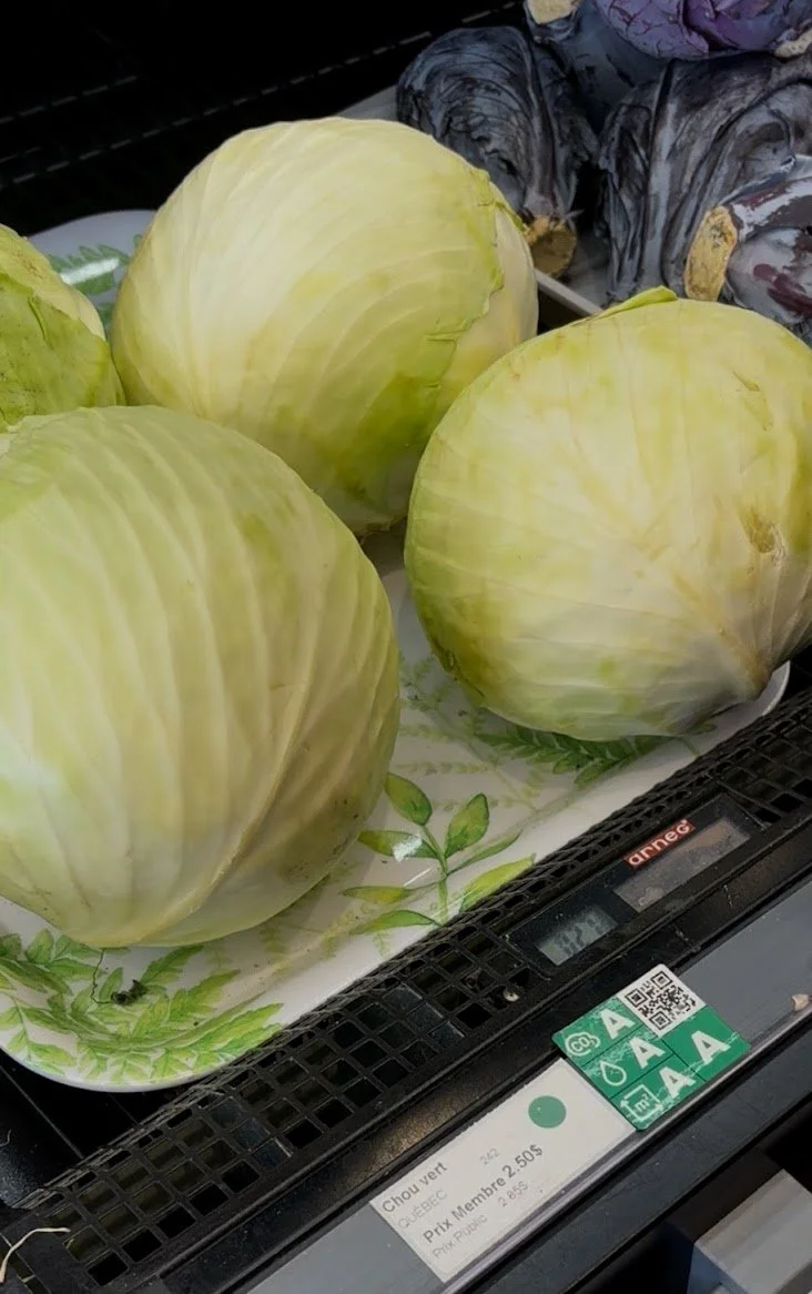 Liste d’articles touchant l’alimentation végétale (Avril 2026)