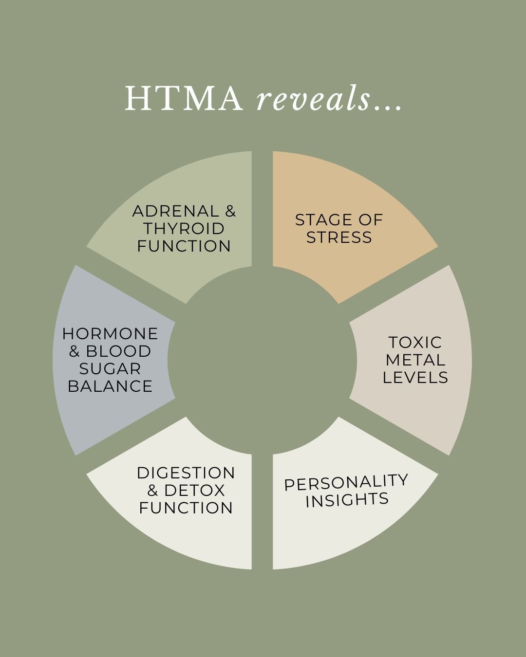Copy of HTMA Beta Announcement Post.jpg