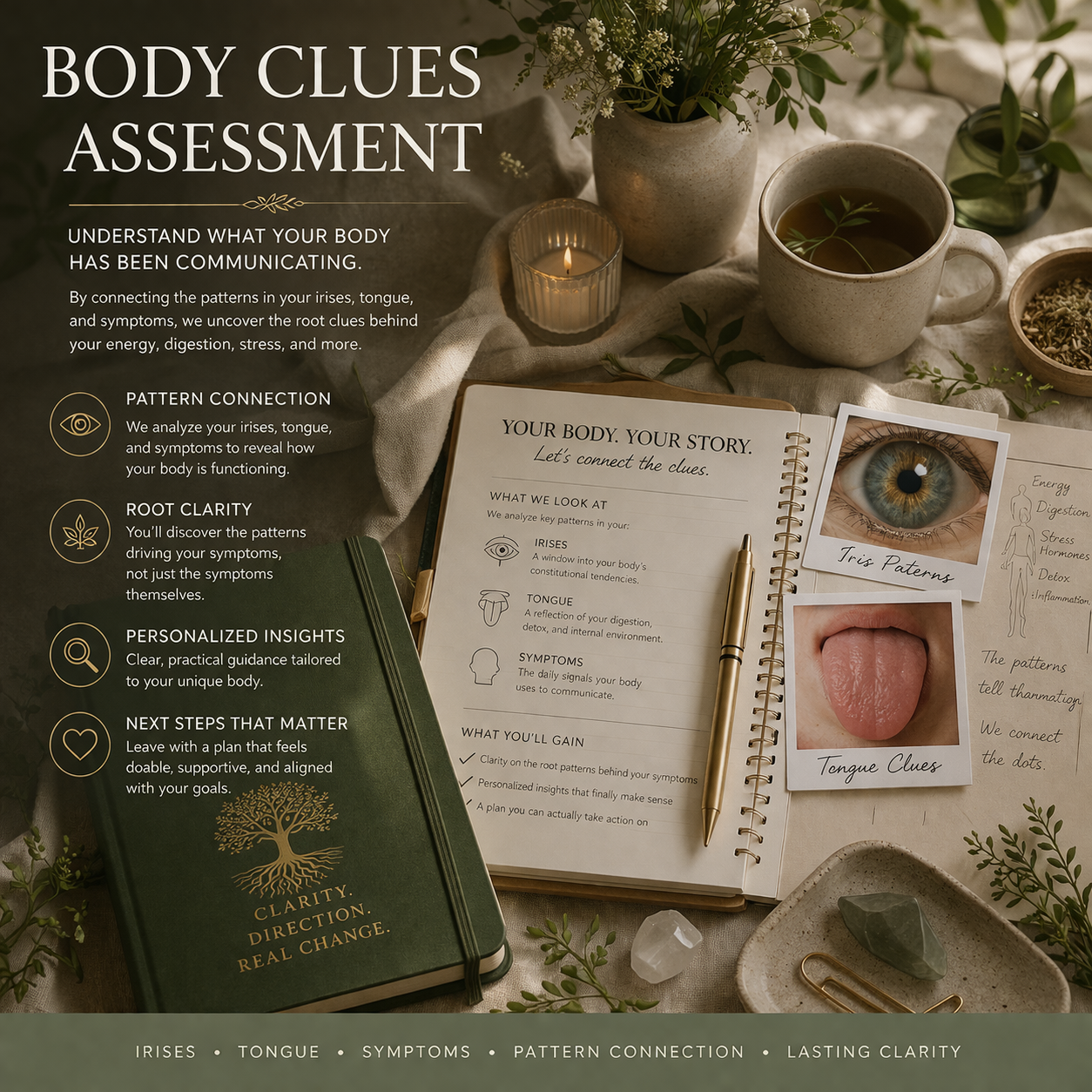 Body Clues Assessment