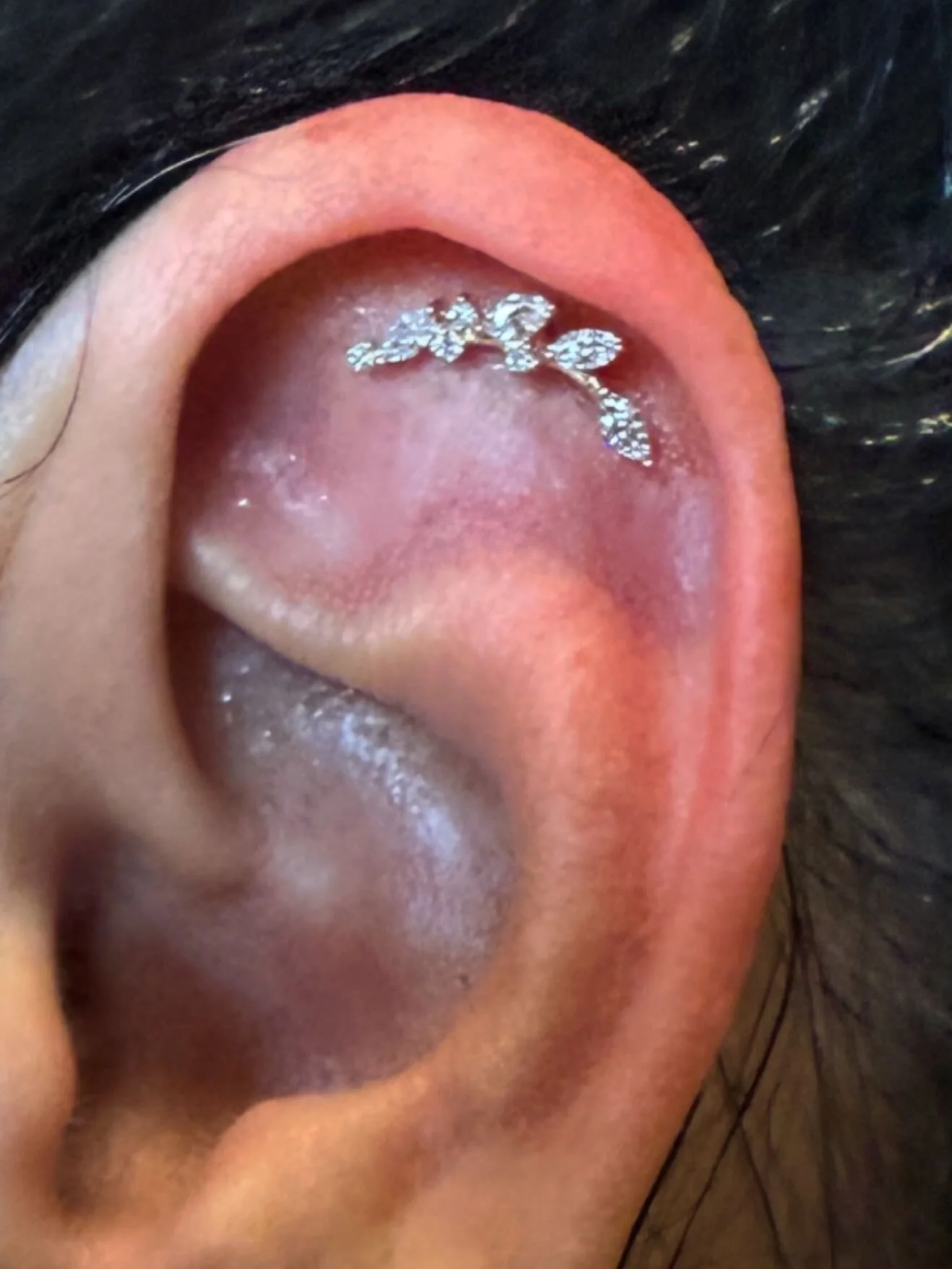 I had the absolute pleasure to pierce with @shophumandesignstudios gold design. What a stunner!
#auburn #auburnca #gold #jewelry #handmade