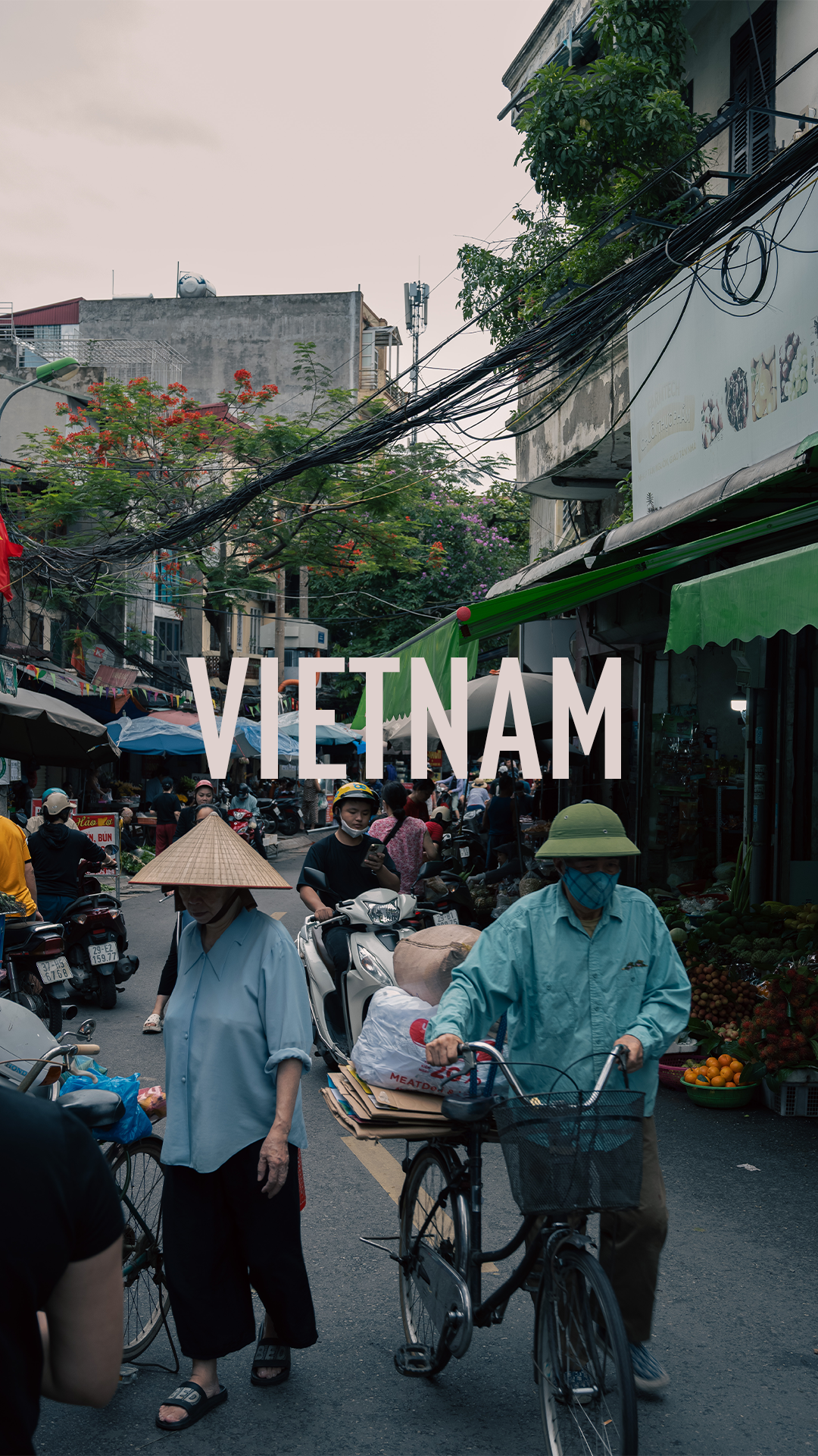 vietnam thumbnail.png