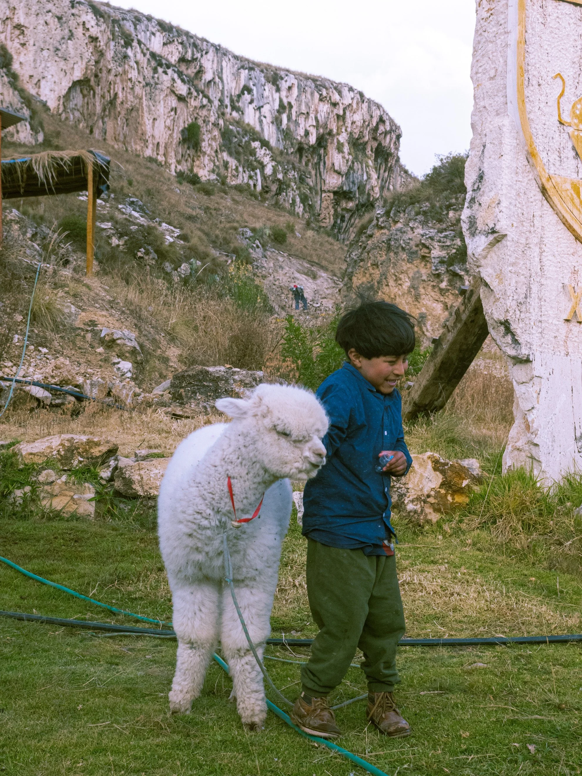 A boy holding a white alpaca on a leash outdoors with a rocky hillside in the background.
