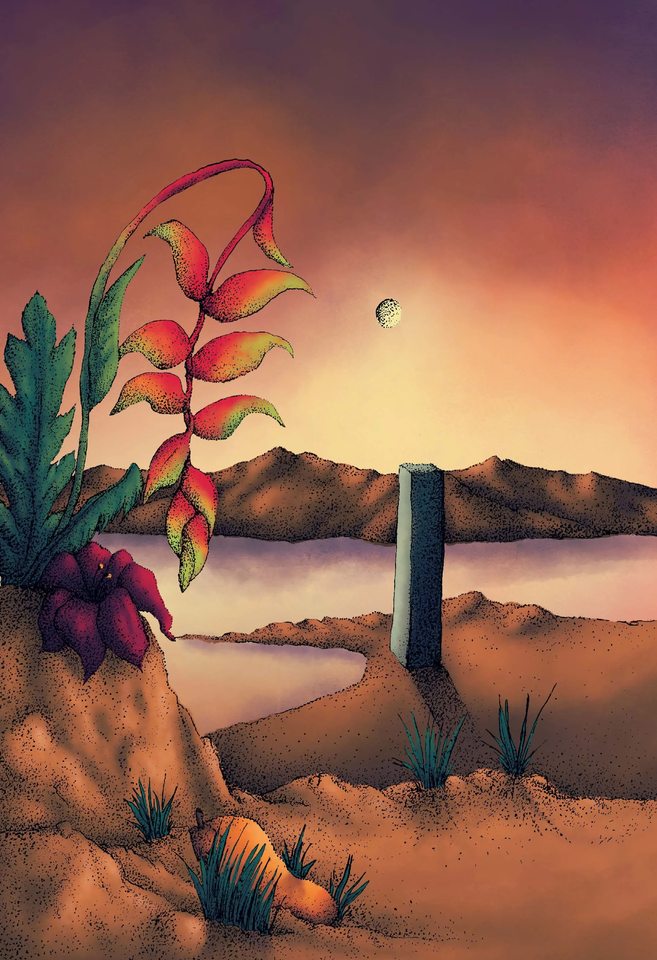 Lobster claw plant in moonlight | Print