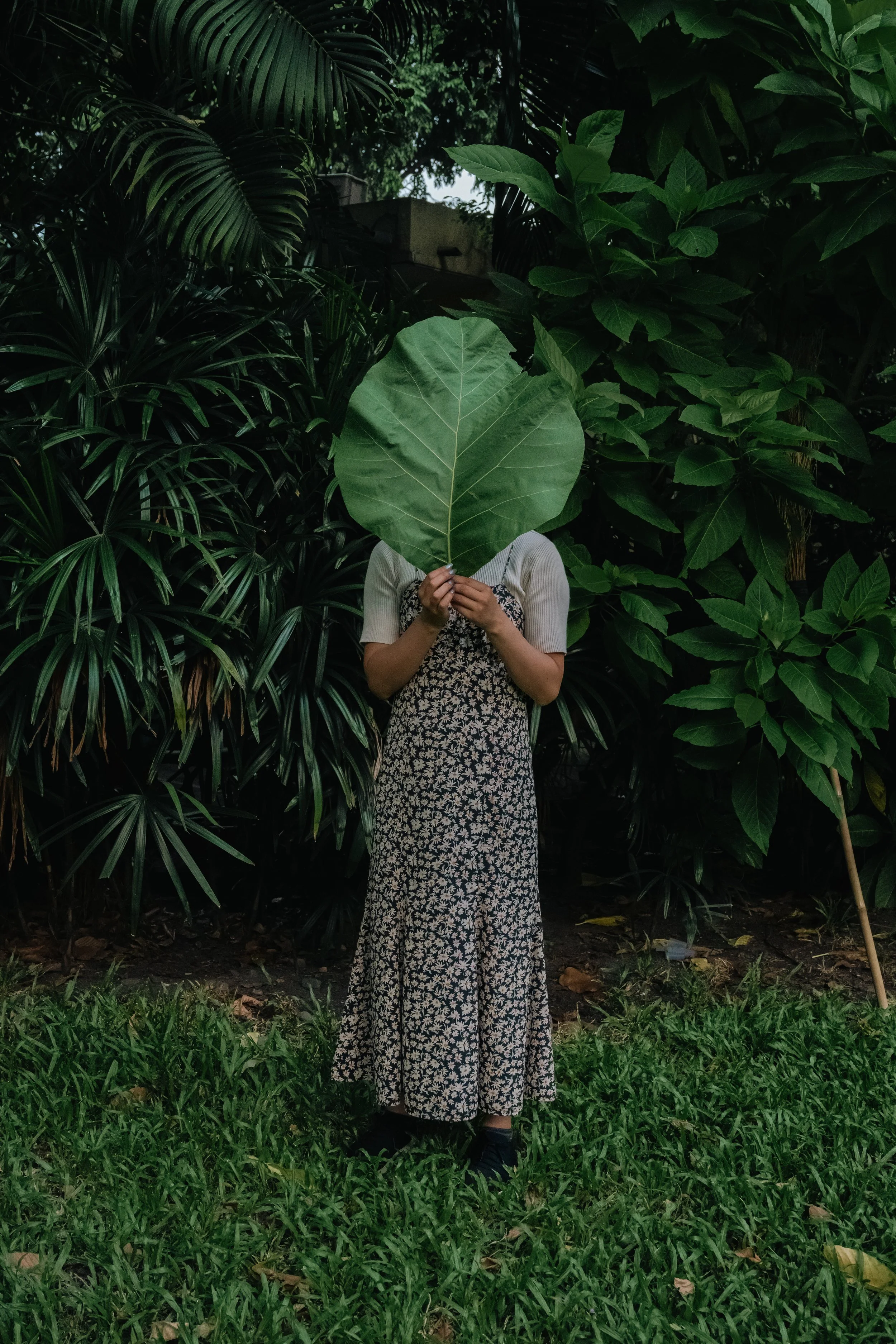 Person standing in a lush, green garden with dense foliage, holding a large leaf in front of their face. The individual is wearing a long, floral dress and a short-sleeved, light-colored top.