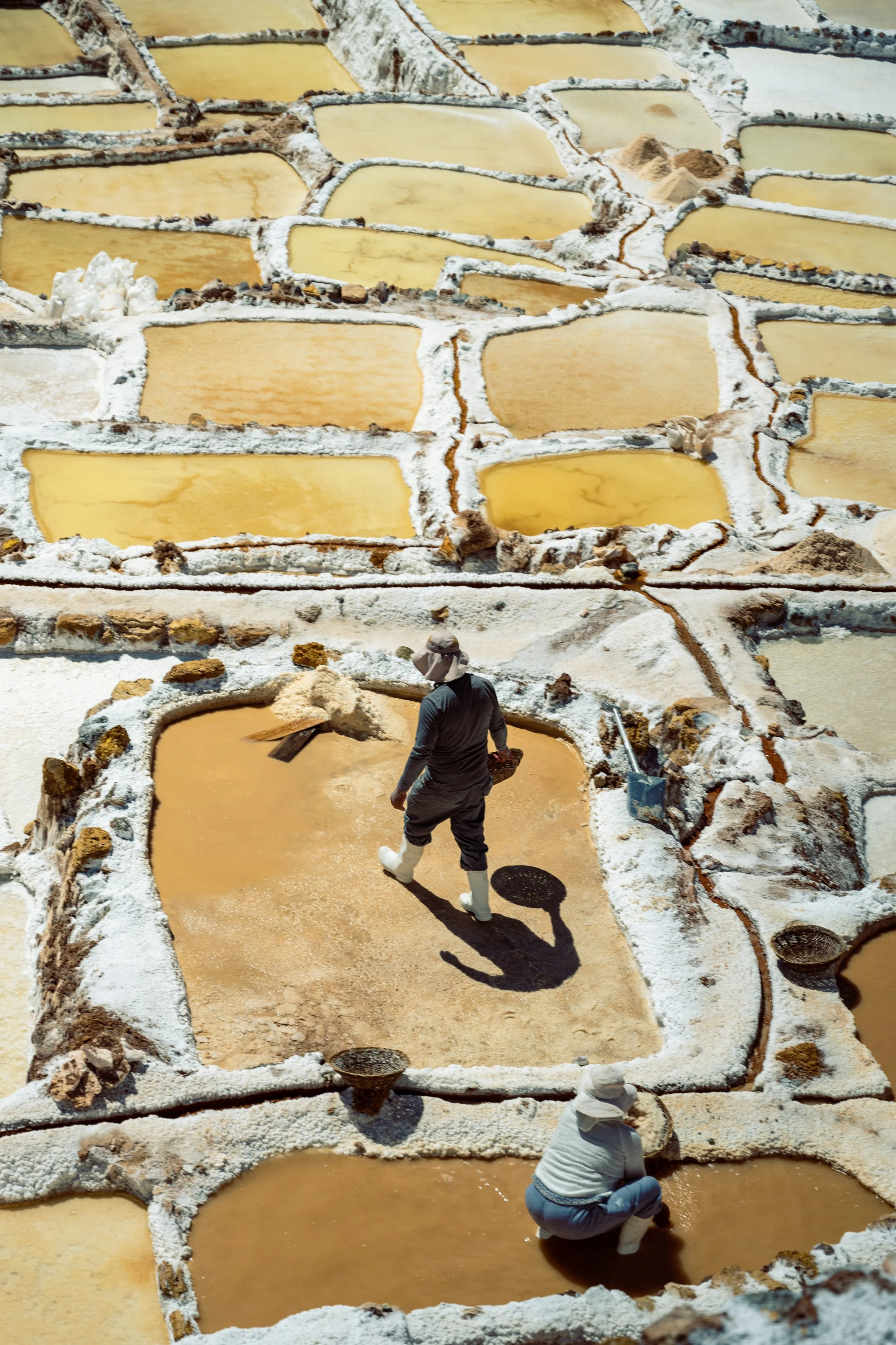 Workers harvest salt in salt evaporation ponds, with each pond separated by white salt deposits and some workers actively collecting salt or working in the ponds.