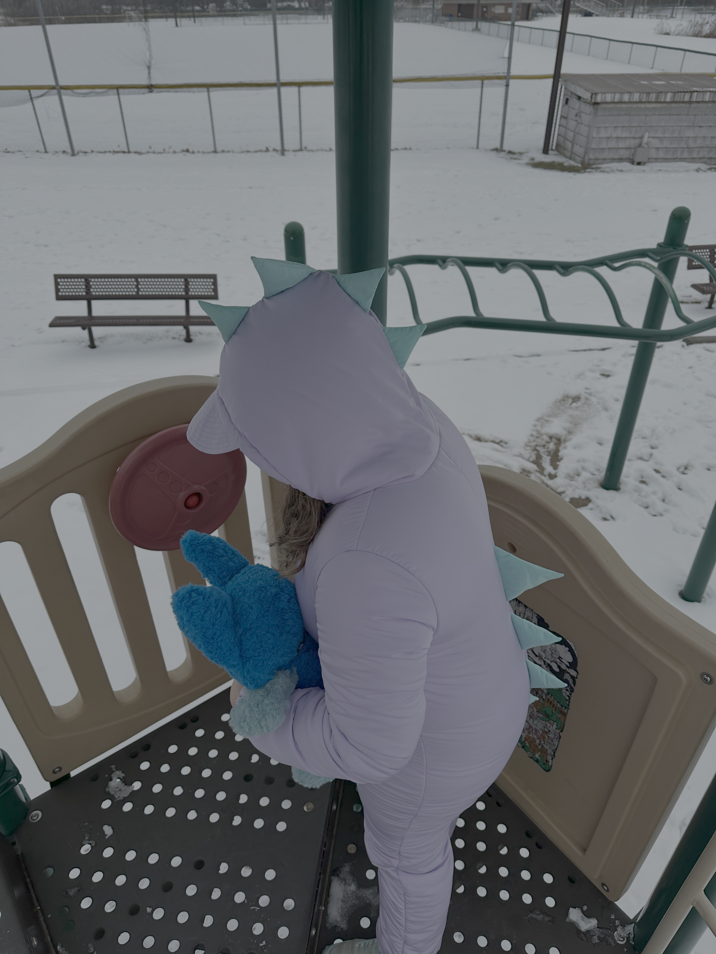 IMG_2537.png