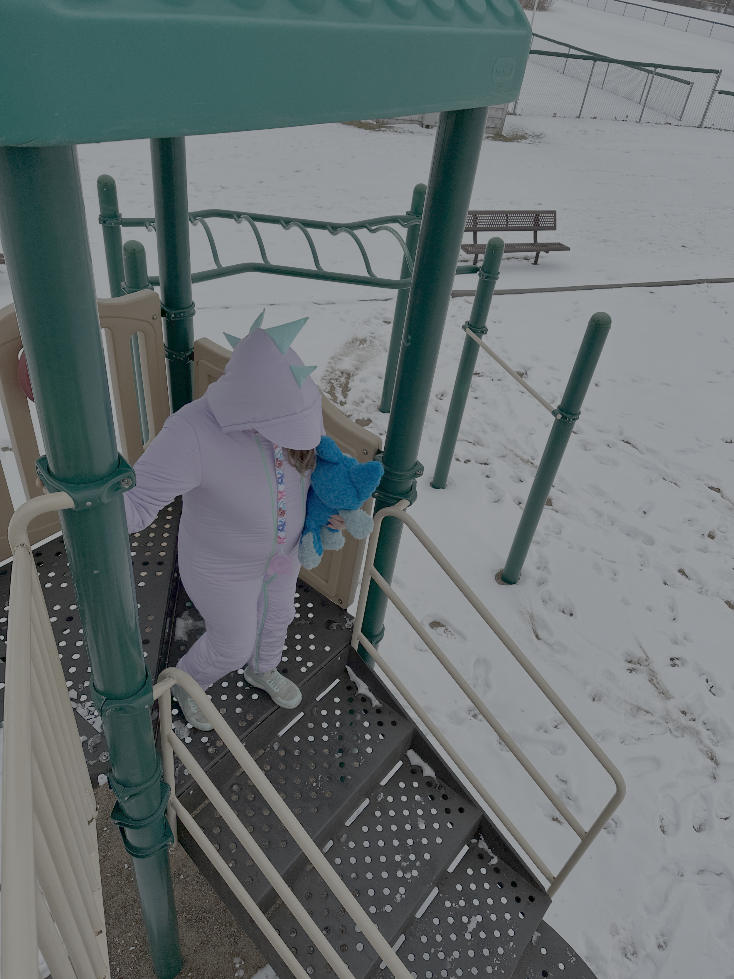 Jurassic Snow Suit (Preorder)