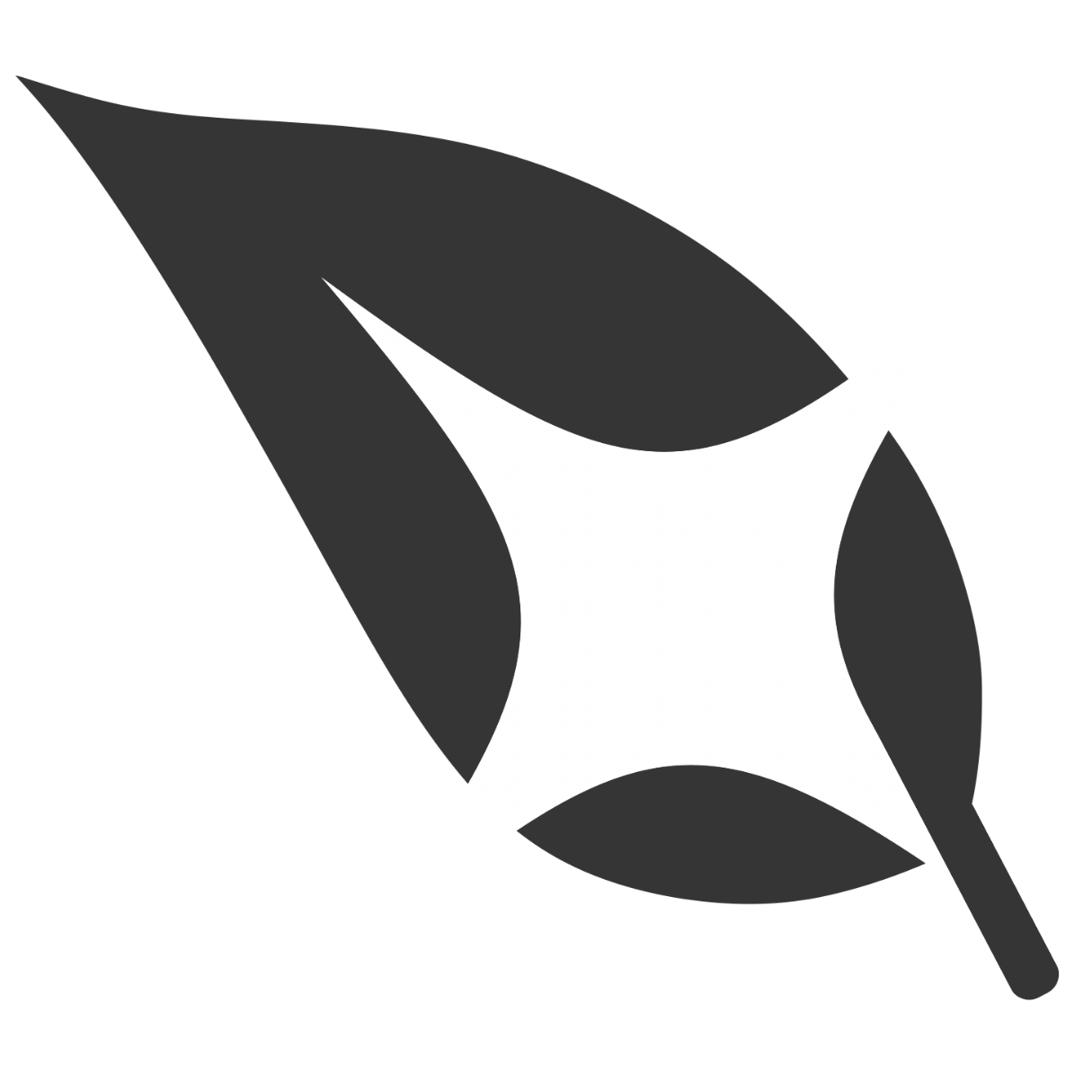 ARGUS: The Art of Noticing