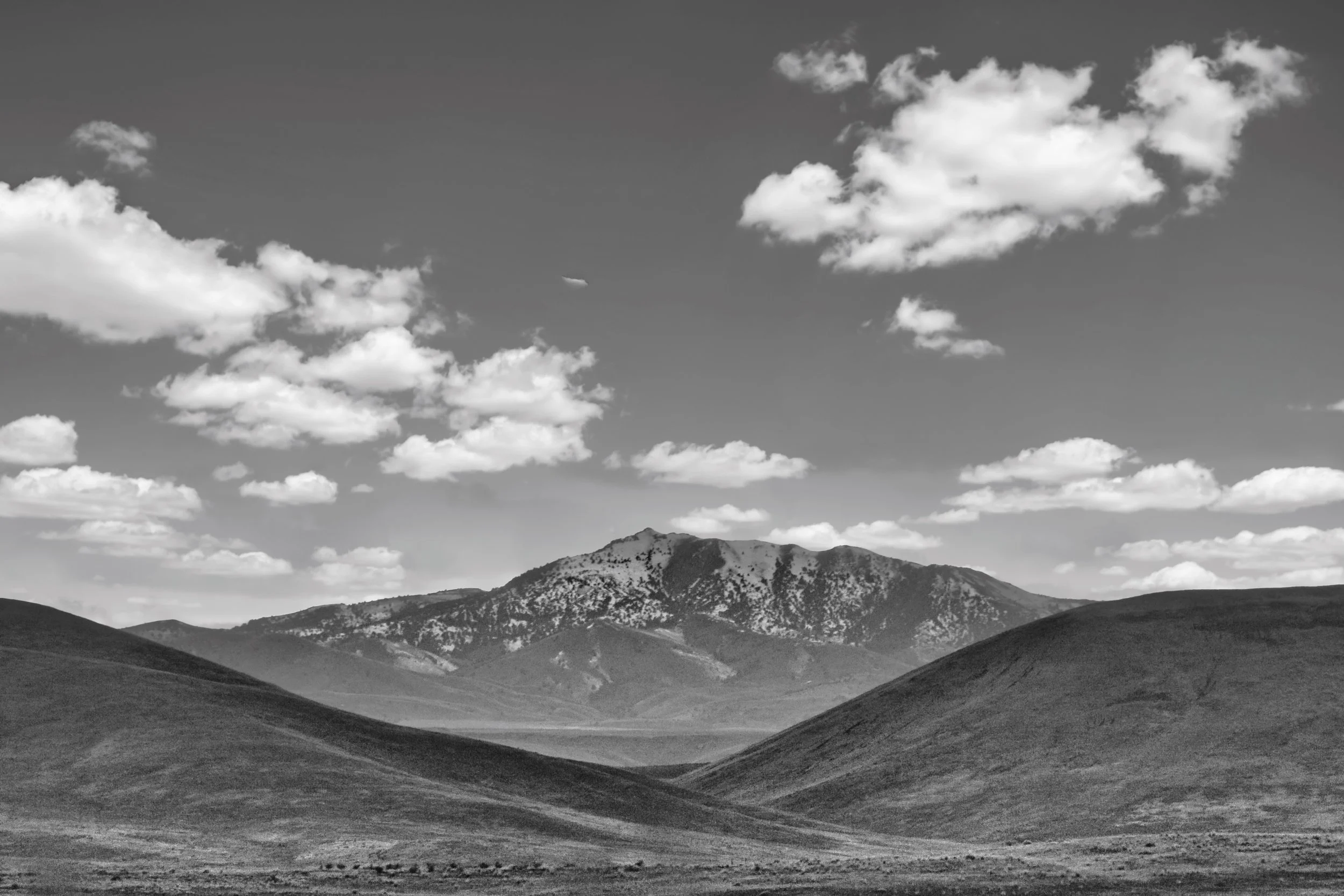 Oregon Country 21_GEN.jpeg