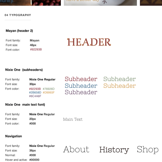 Screen Shot 2021-04-06 at 12.31.38 PM copy.png