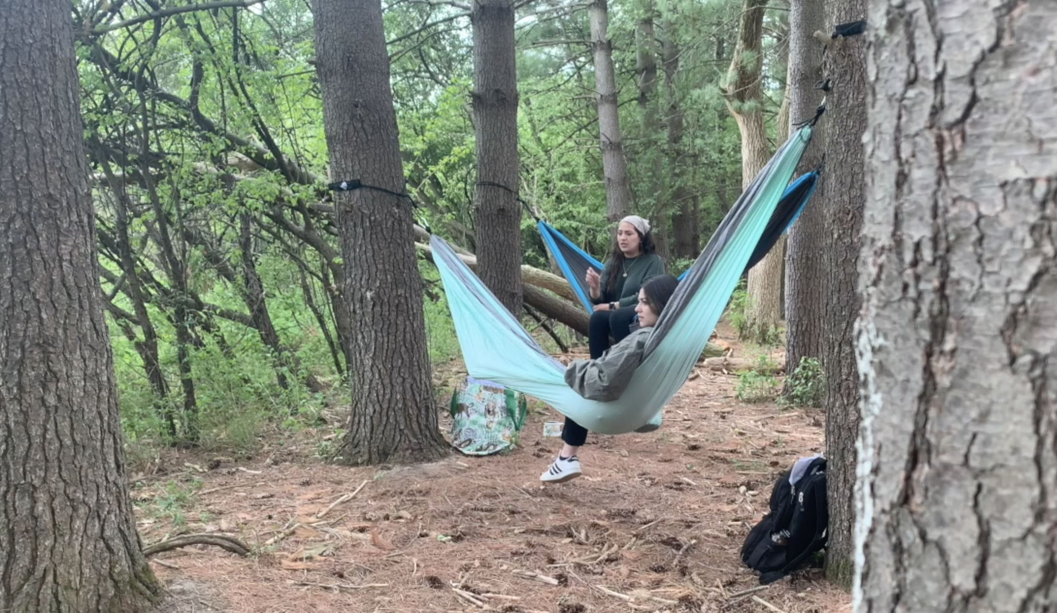 Screen Shot 2024-04-18 at 5.10.45 PM.png