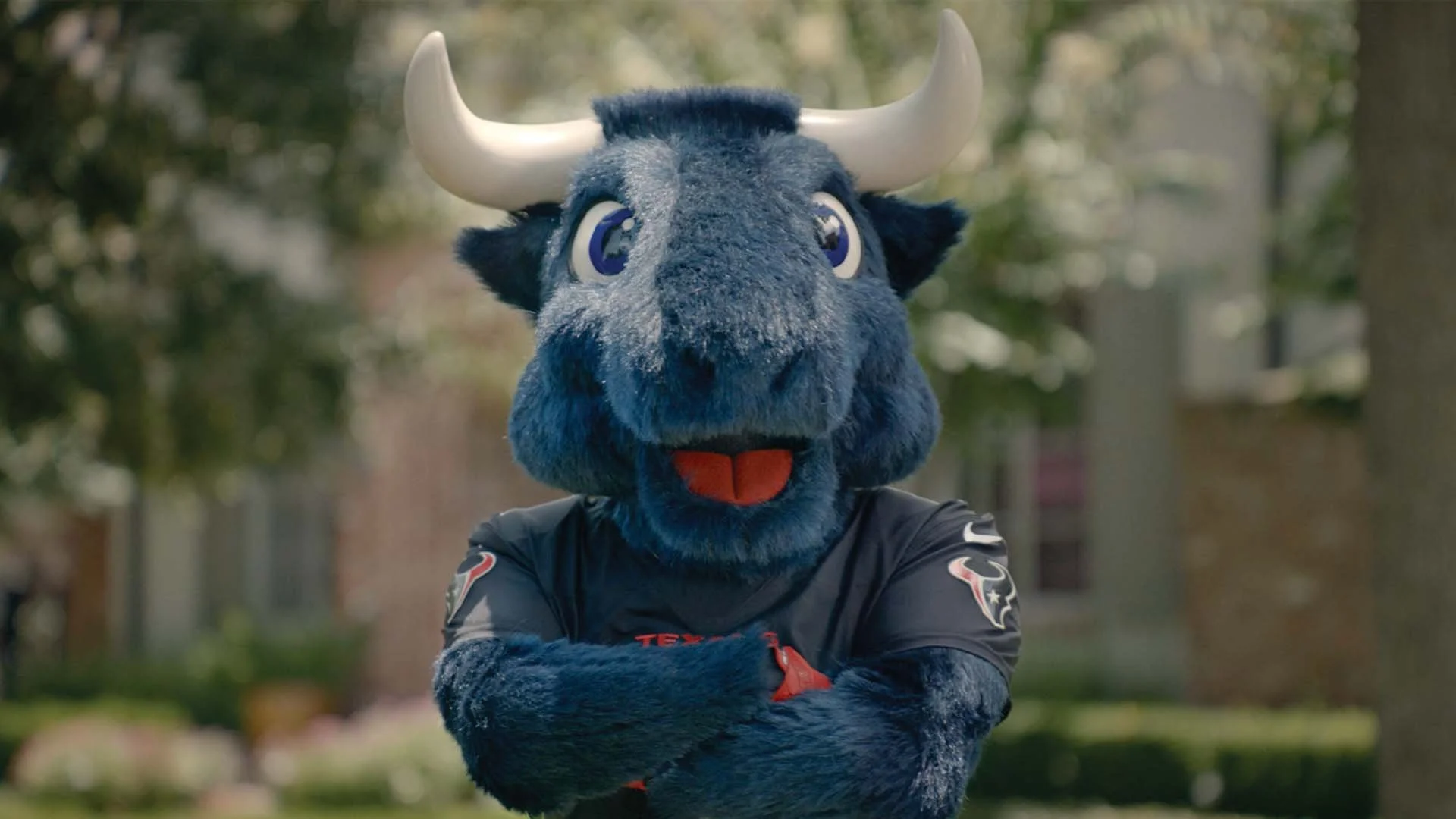 H-E-B x Houston Texans