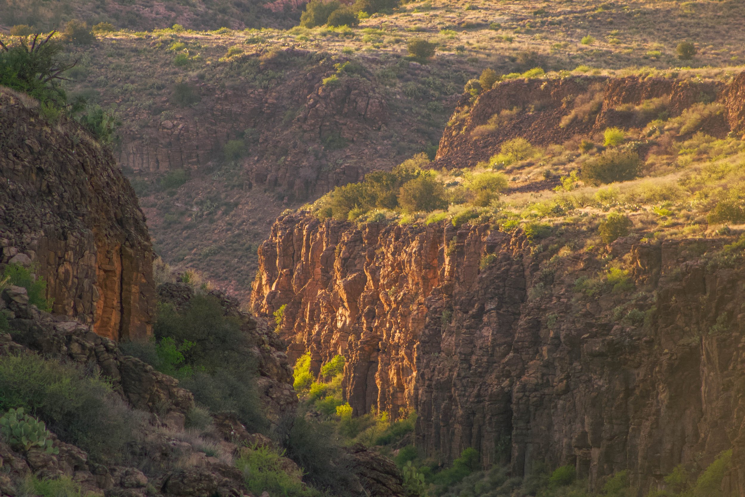 cottonwood4.jpg