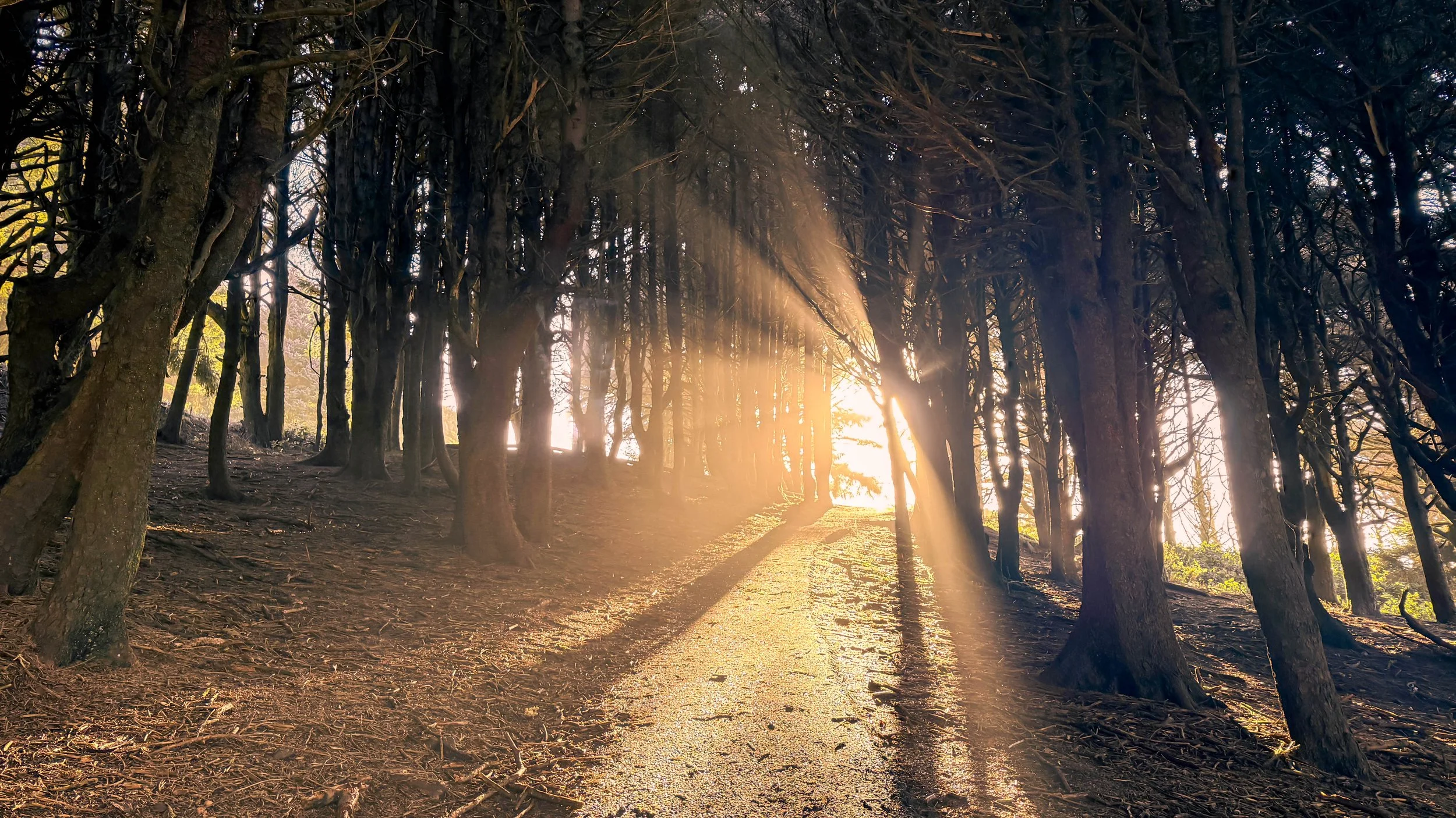 Light beam.jpg