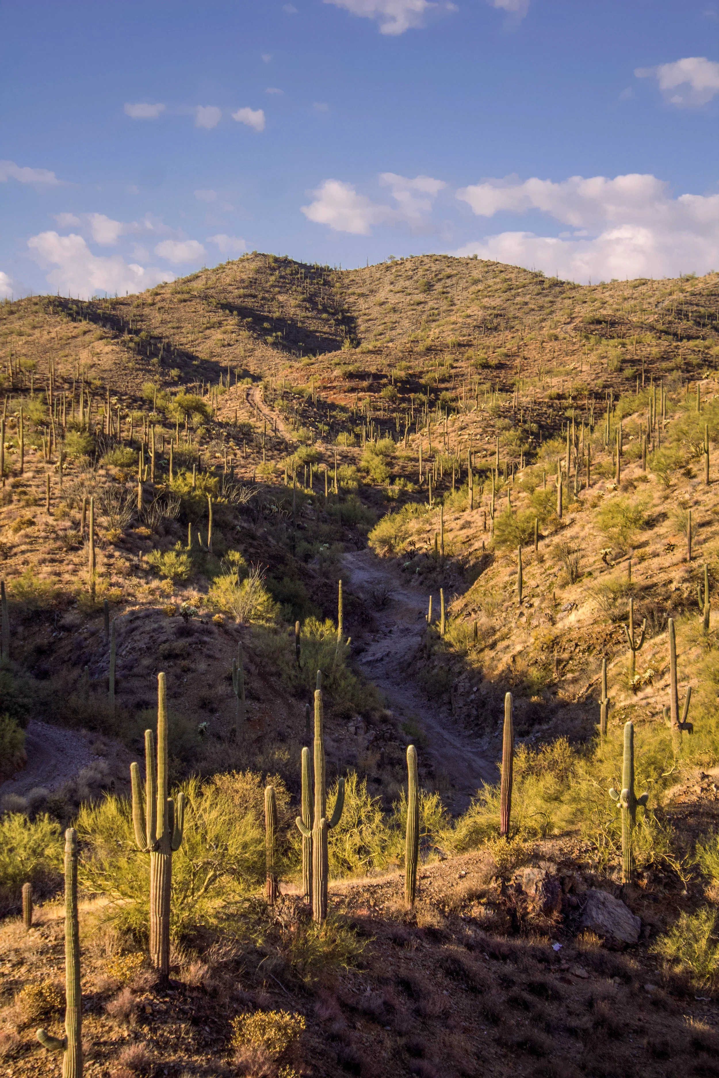 Box Canyon2.JPG