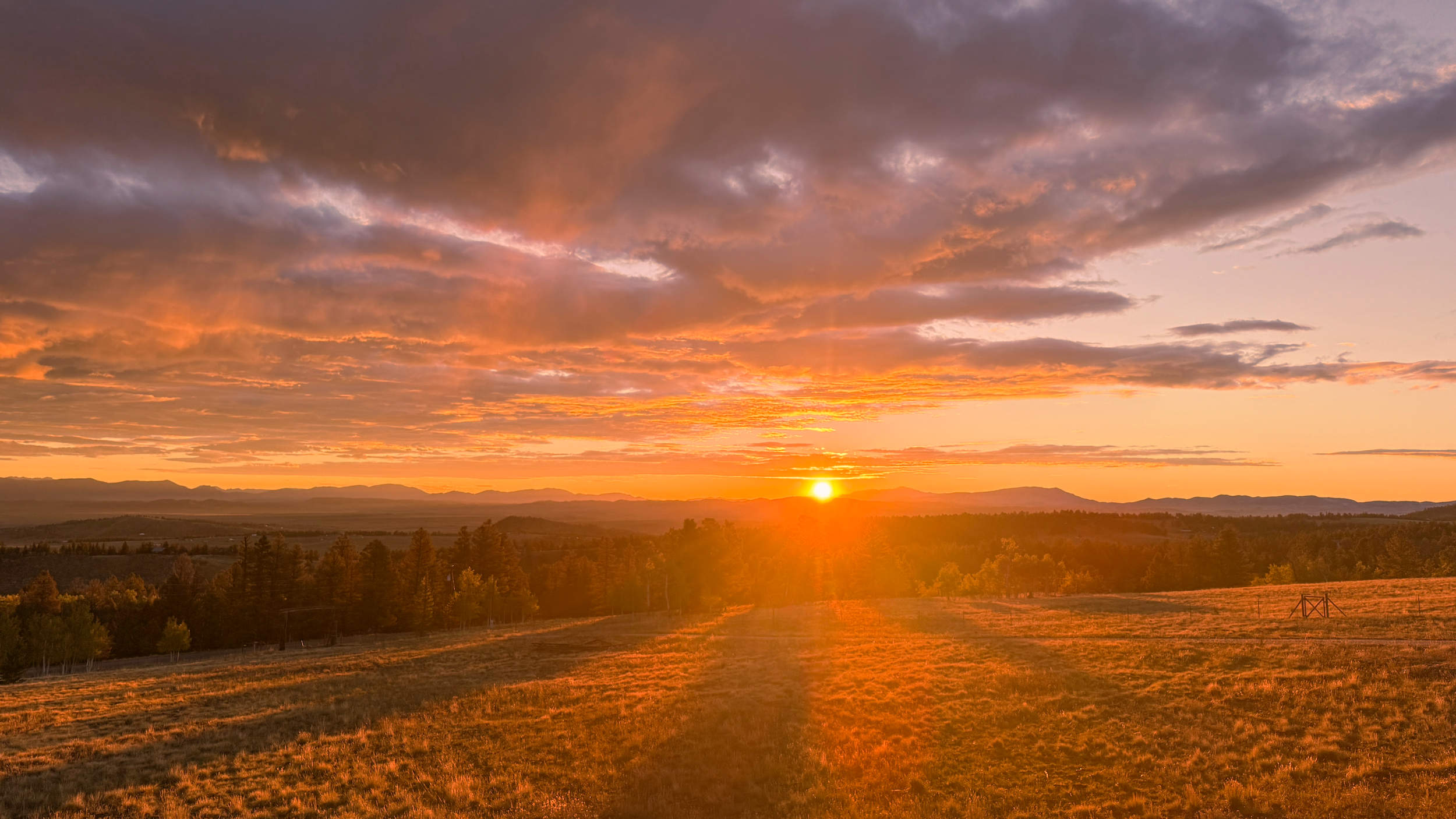 sunrise3.png
