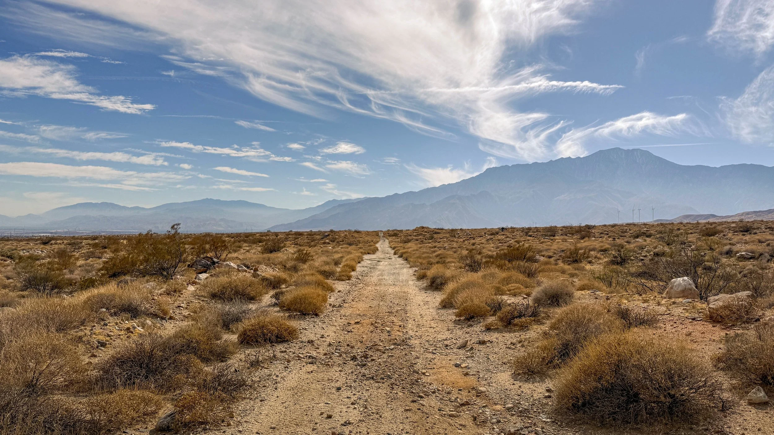road.jpg