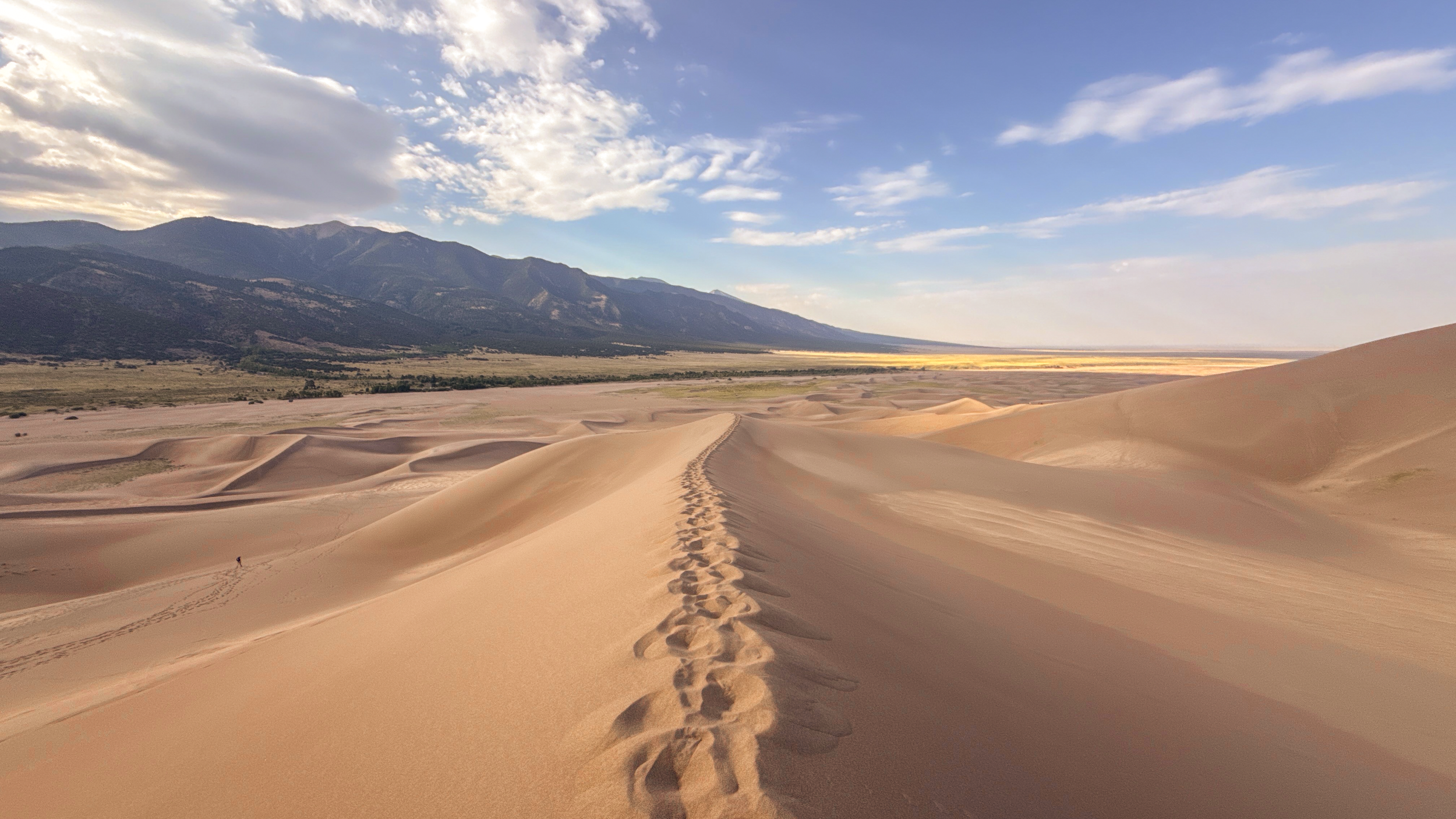 dunes13.png