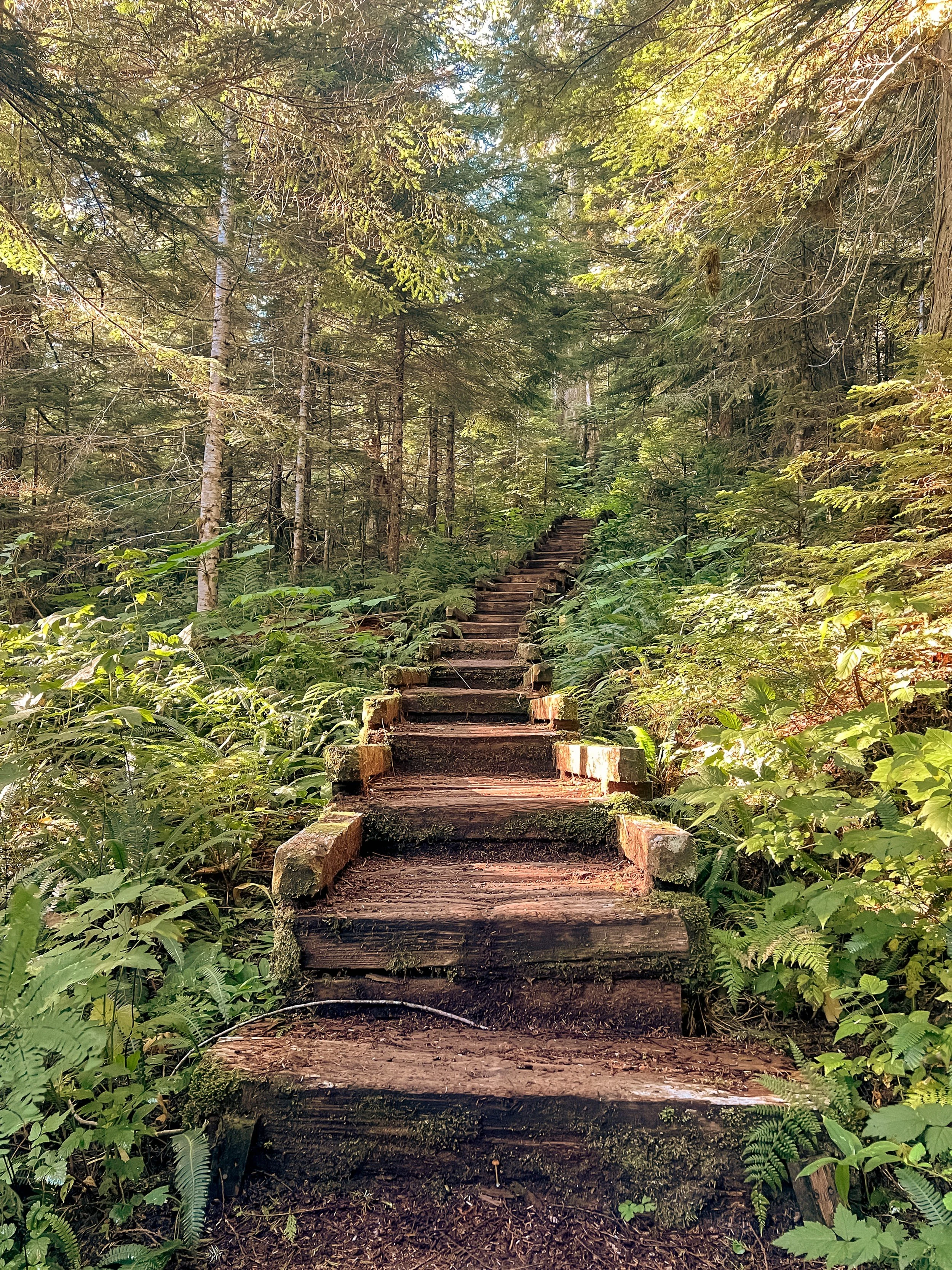 stairs.jpg