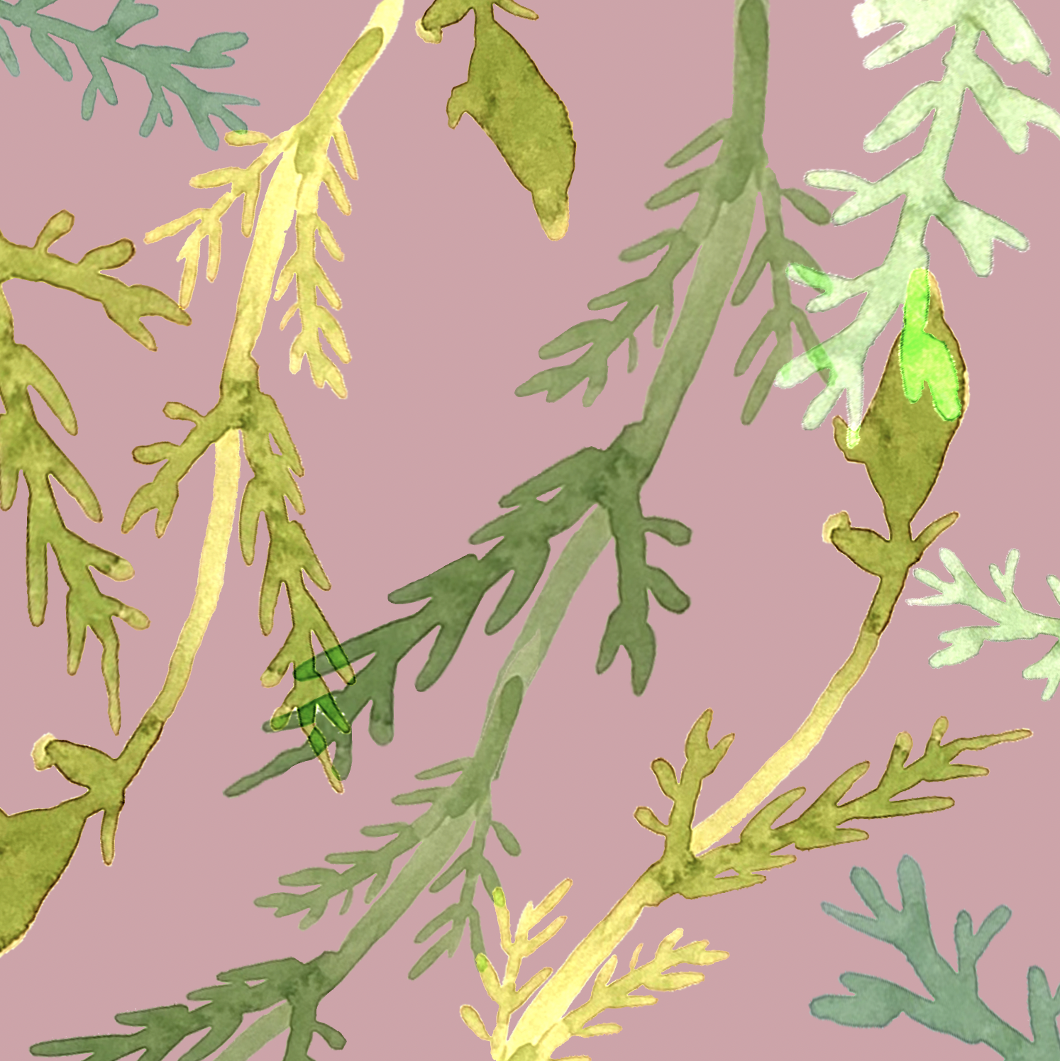 Screenshot 2024-05-07 at 3.30.34 PM.png