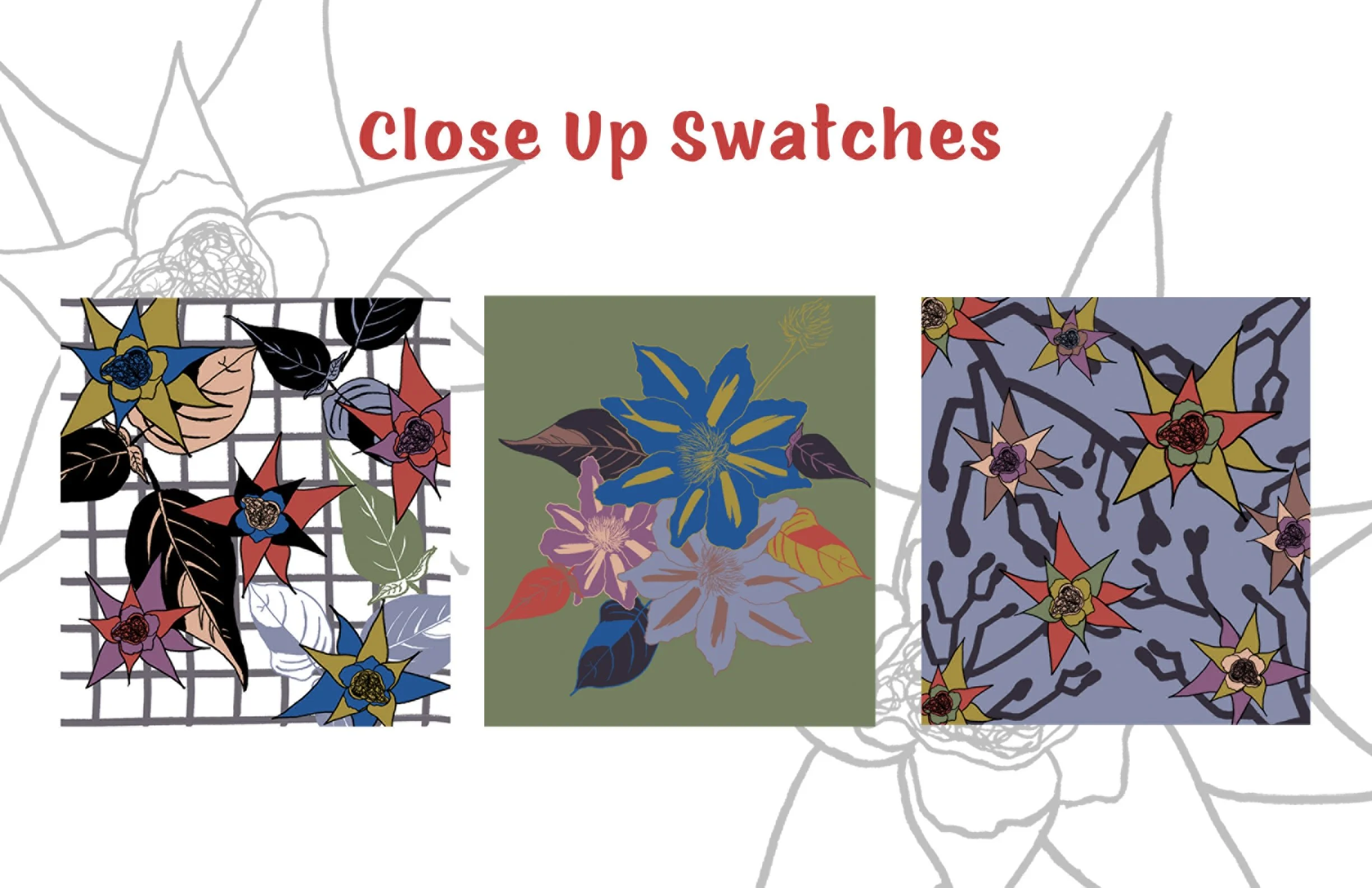 Project 1_Close Up_1_FINAL.jpg