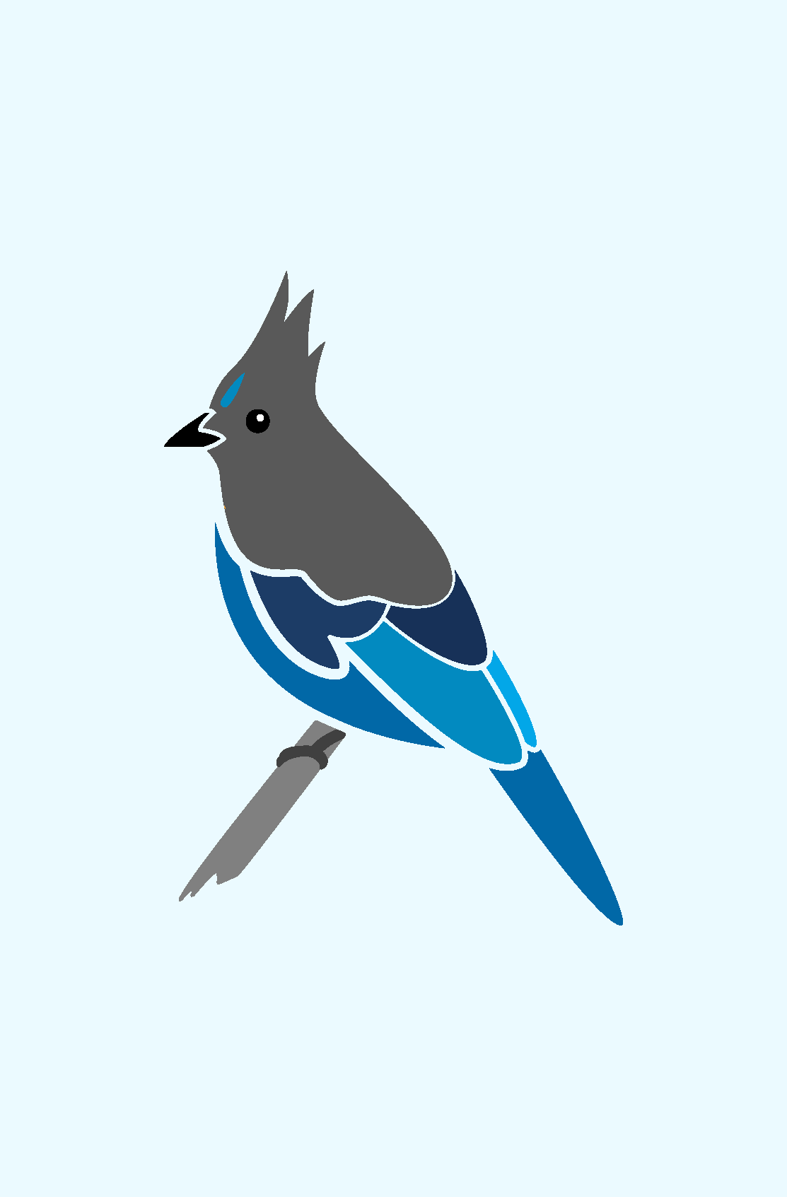 eastside audubon logo<span>logo design</span>