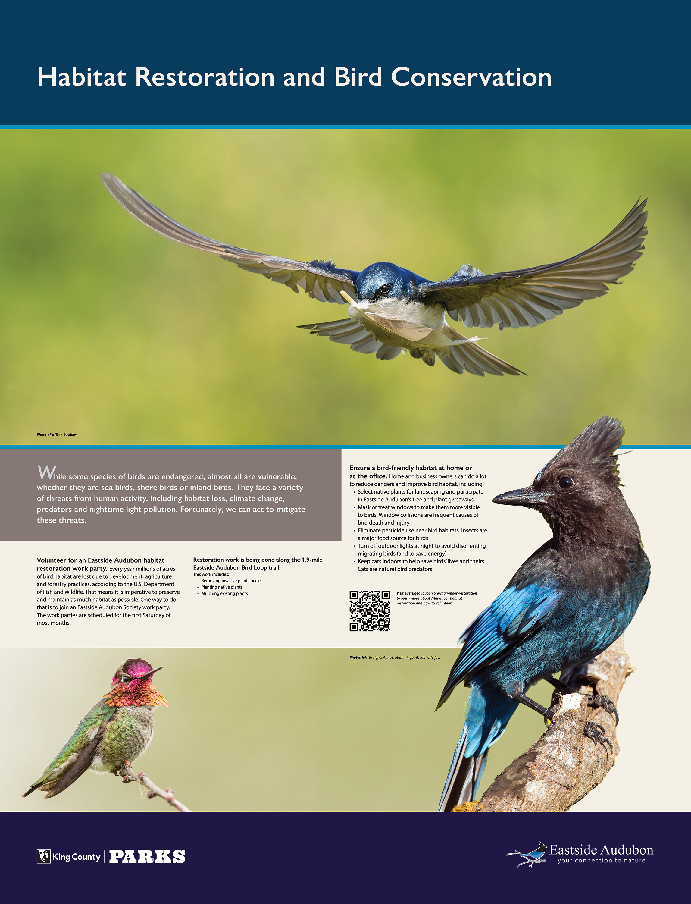 EAS - For Print - OT- 3.png