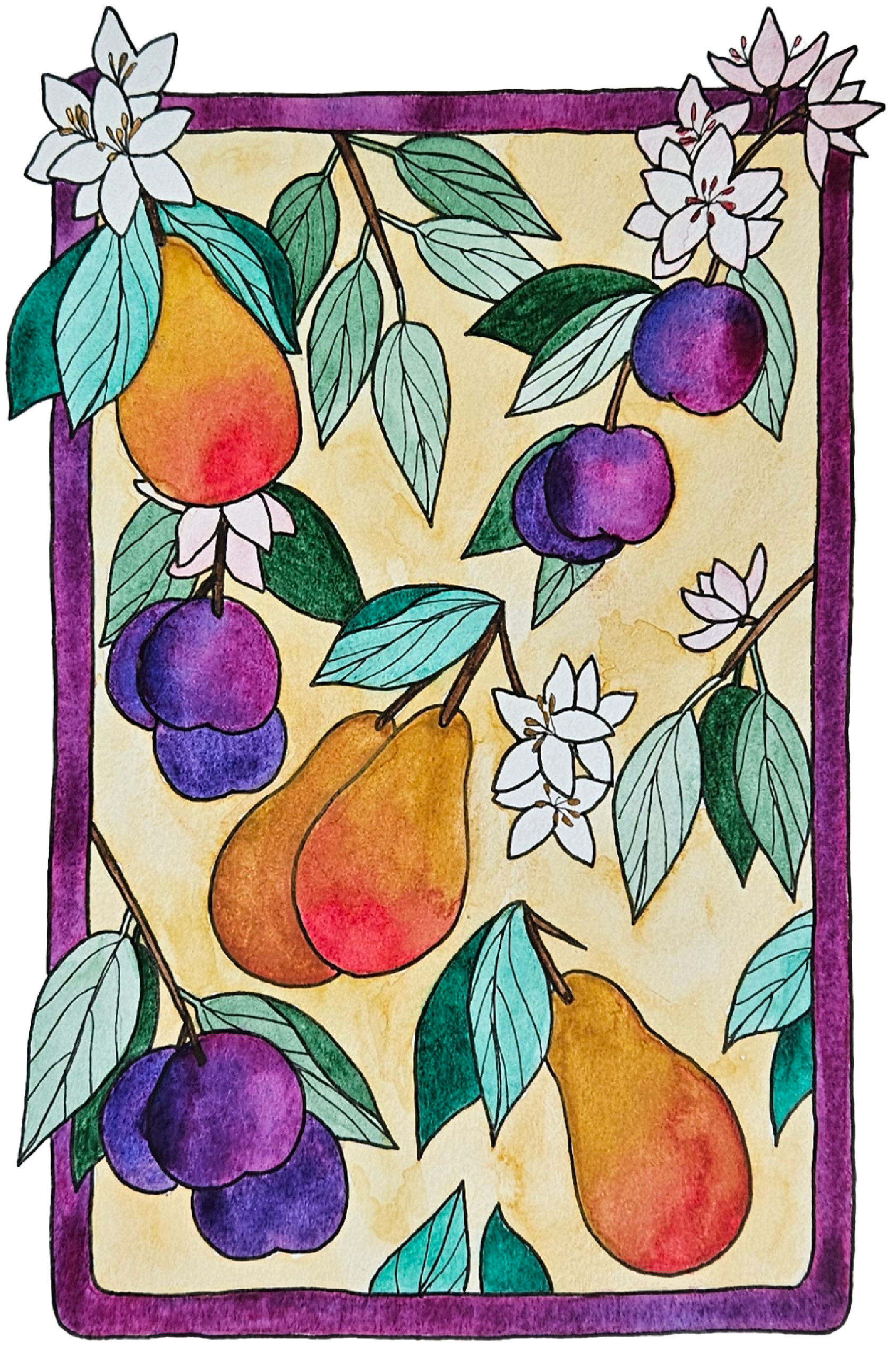 Pear and Plum Squarespace Photo Sizes-02.png