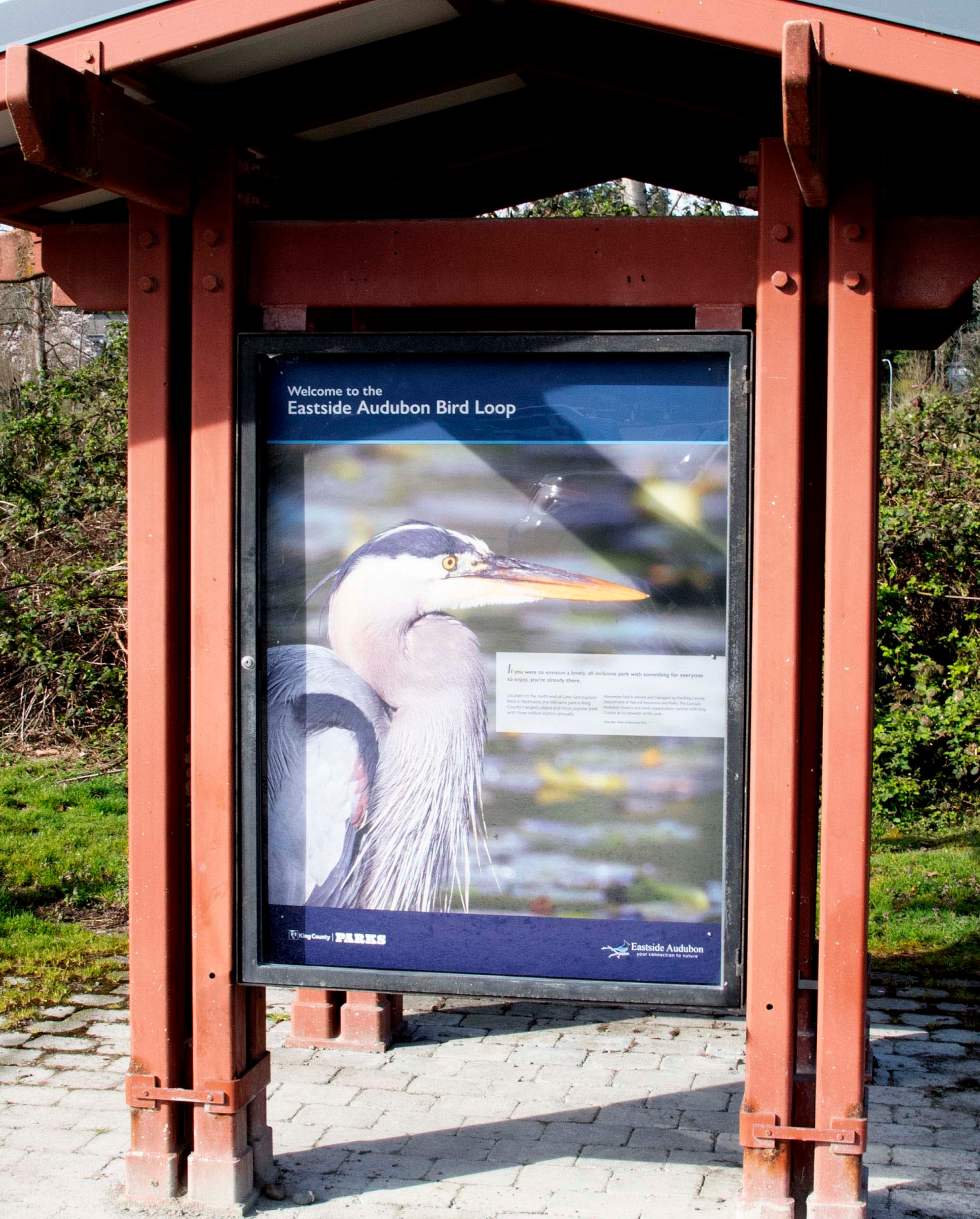 Marymoor Kiosk - DSC_2726 - cropped.png