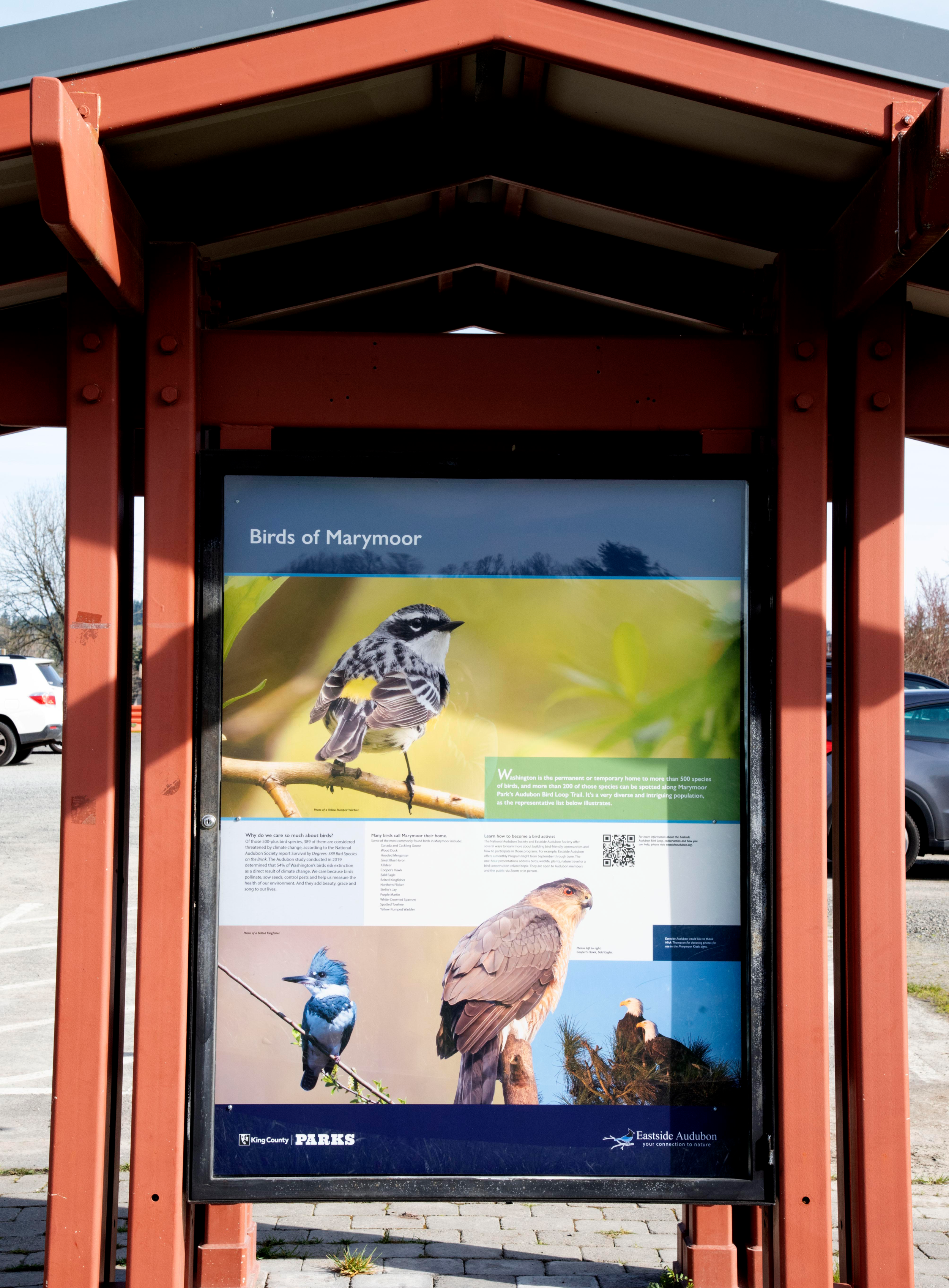 Marymoor Kiosk - DSC_2723.png